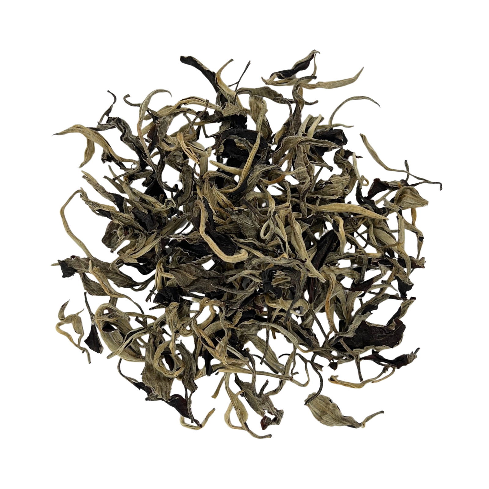 Moonlight White_Benefits_Yue Guang Bai_White Tea_Chinese Tea_Eco Tea_Wholesale_AllenTeas