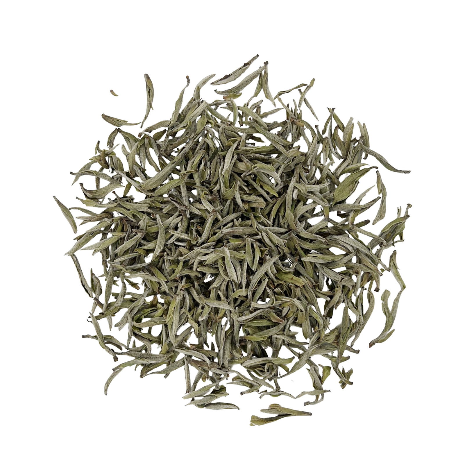 Baihao Yinzhen_Benefits_Silver Needle_White Tea_Chinese Tea_Eco Tea_Wholesale_AllenTeas