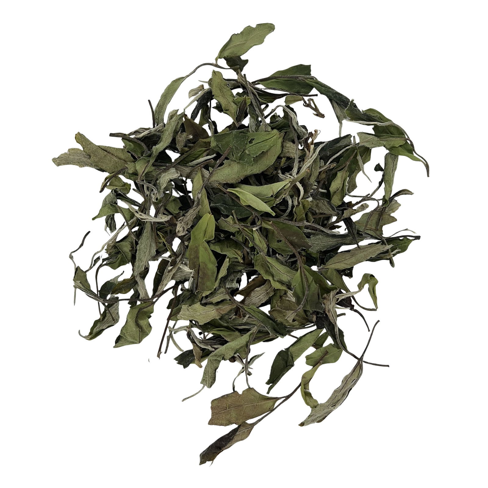 Bai Mudan_White Peony_White Tea_Benefits_Chinese Tea_Eco Tea_Wholesale_AllenTeas