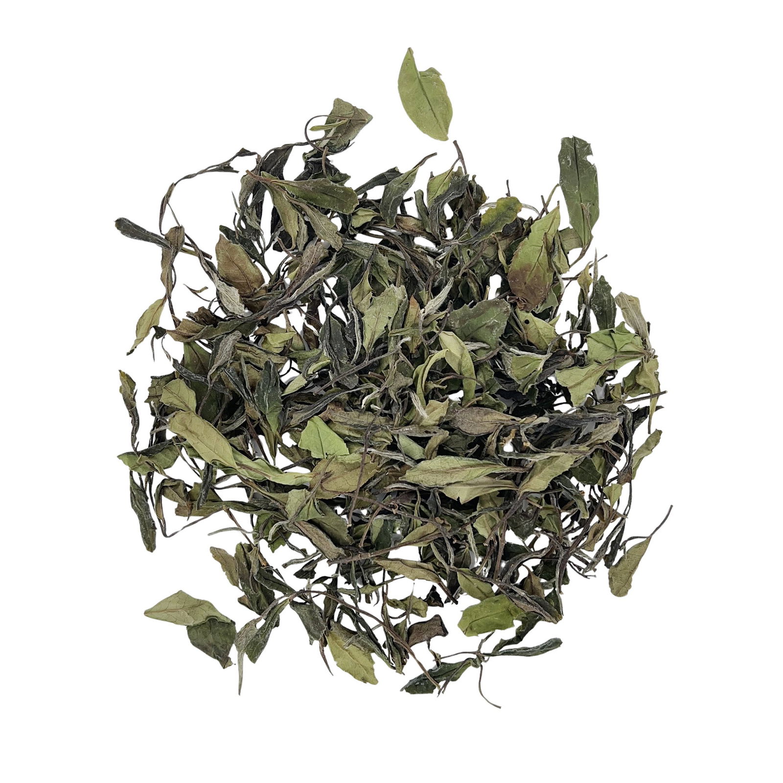 Gongmei_Tribute Eyebrow_Benefits_White Tea_Chinese Tea_Eco Tea_Wholesale_AllenTeas