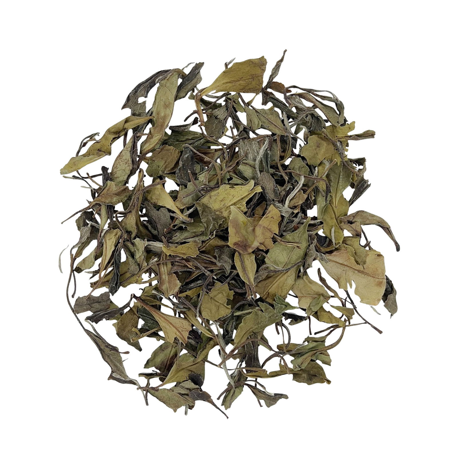 Shoumei Oolong_Benefits_Longevity Eyebrow_White Tea_Chinese Tea_Eco Tea_Wholesale_AllenTeas