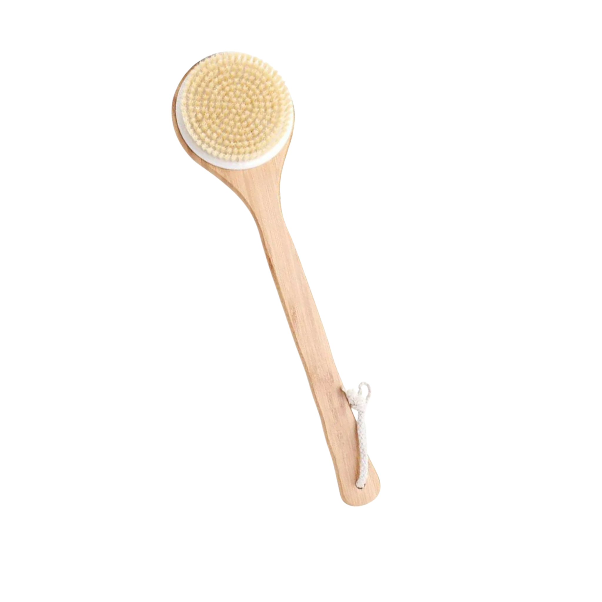 Body Brush & Shower Brush With Wooden Handle