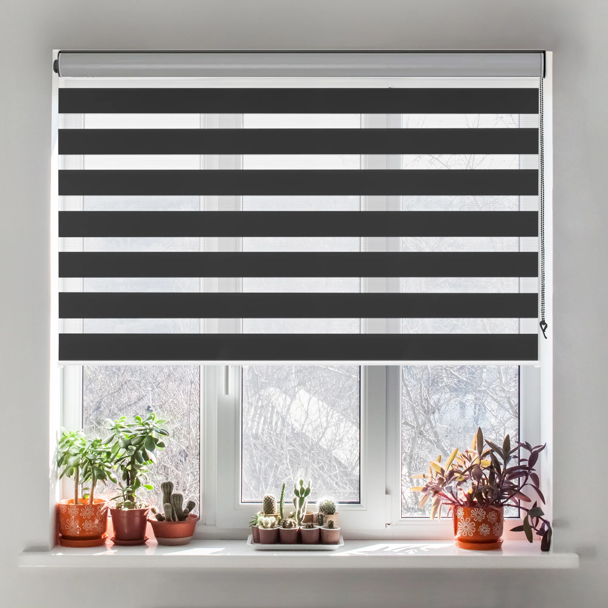 Sienna Custom Light Filtering Zebra Blinds