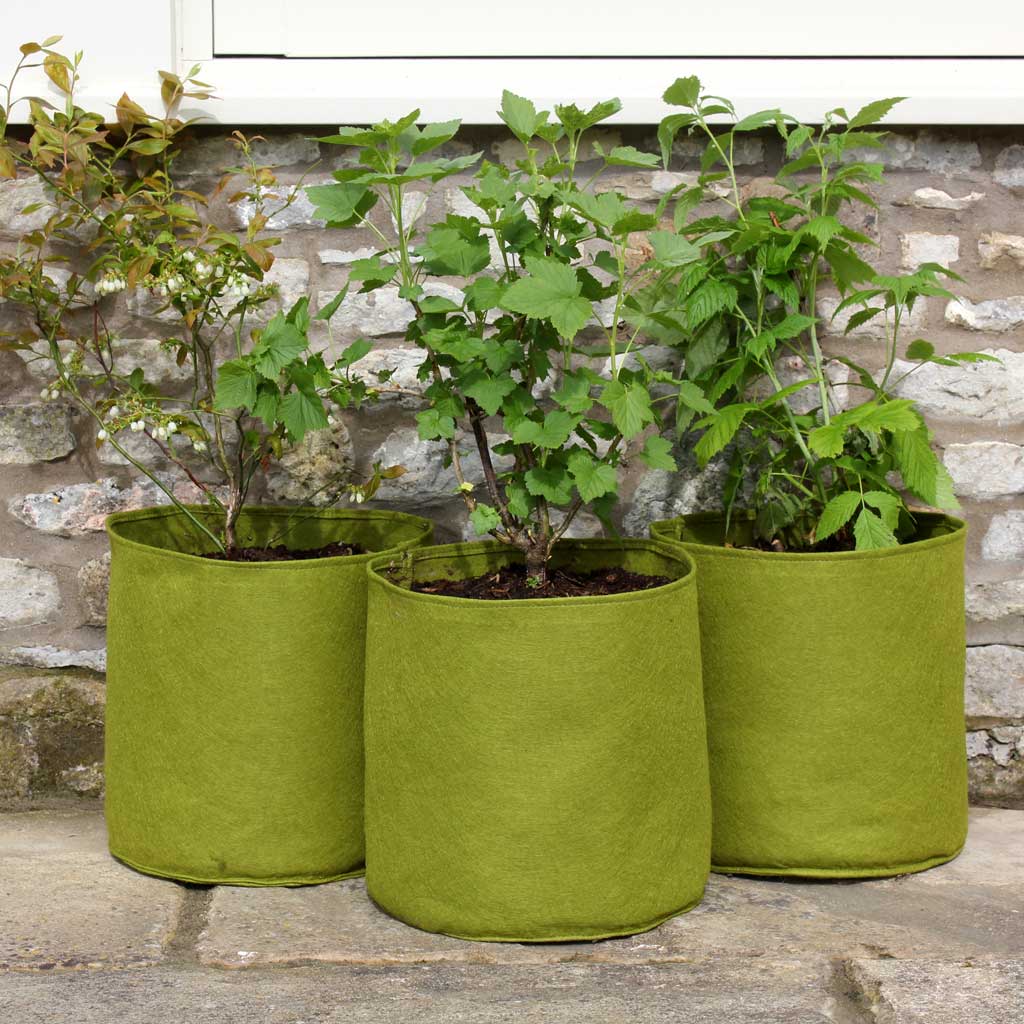 Vigoroot Pots  (3 pack)