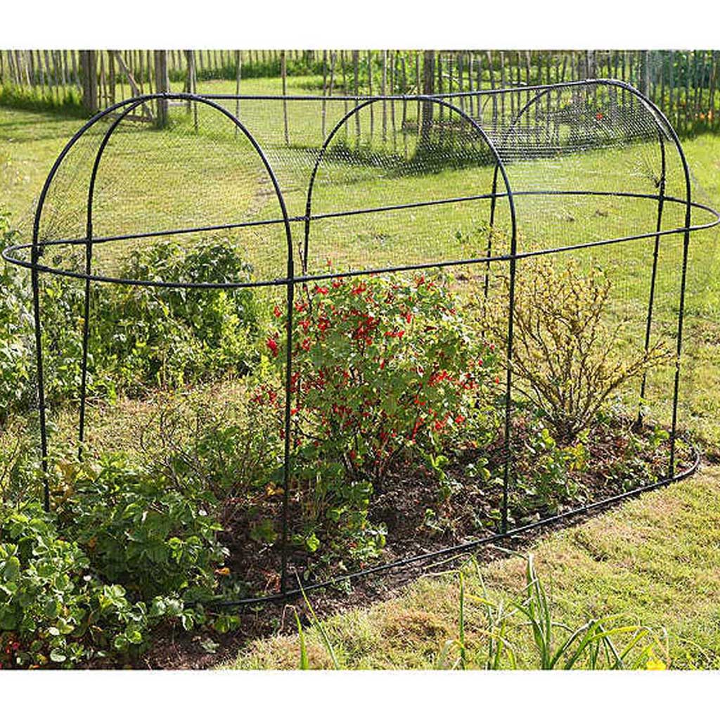 Steel Long Fruit Cage