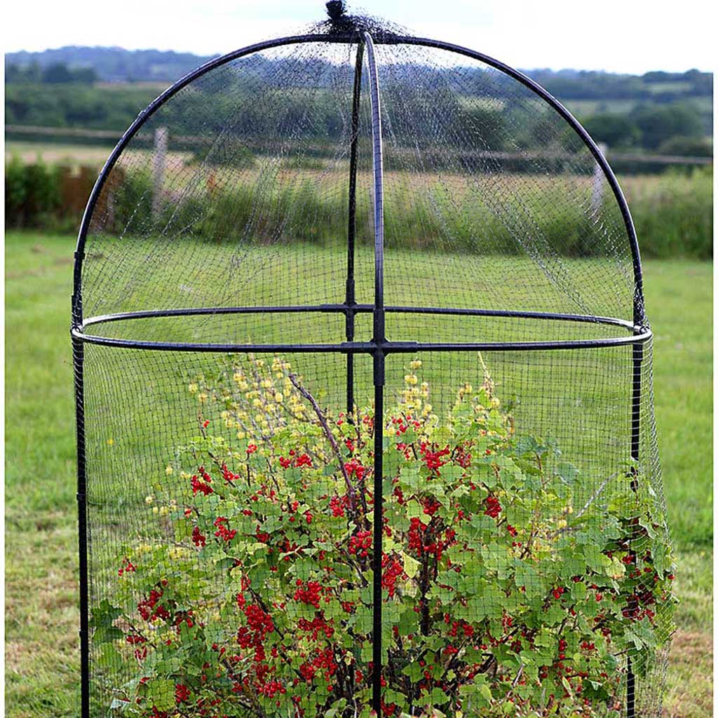 Steel Round Fruit Cage