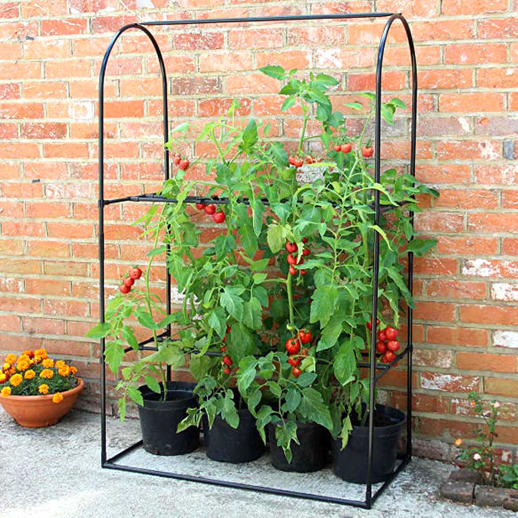 Tomato Crop-Booster Frame