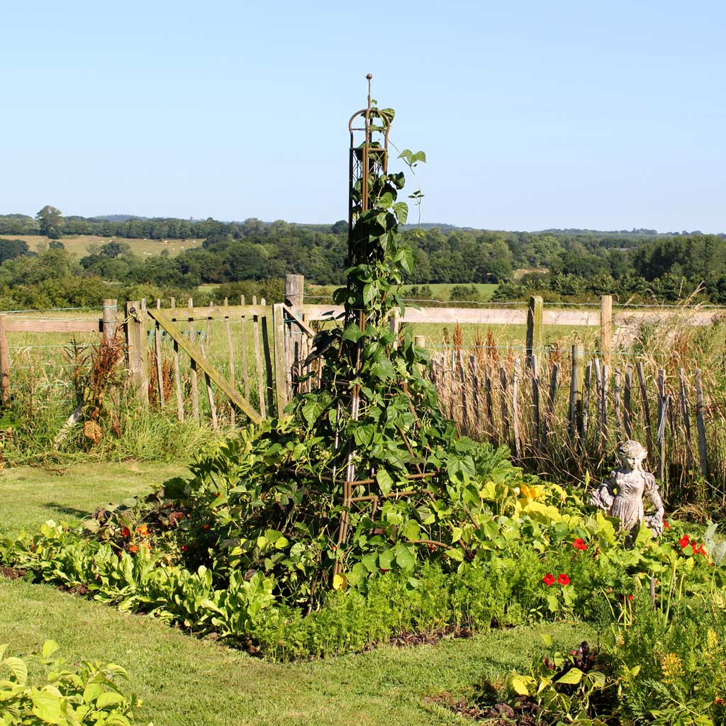 Eiffel Tower Plant Frame