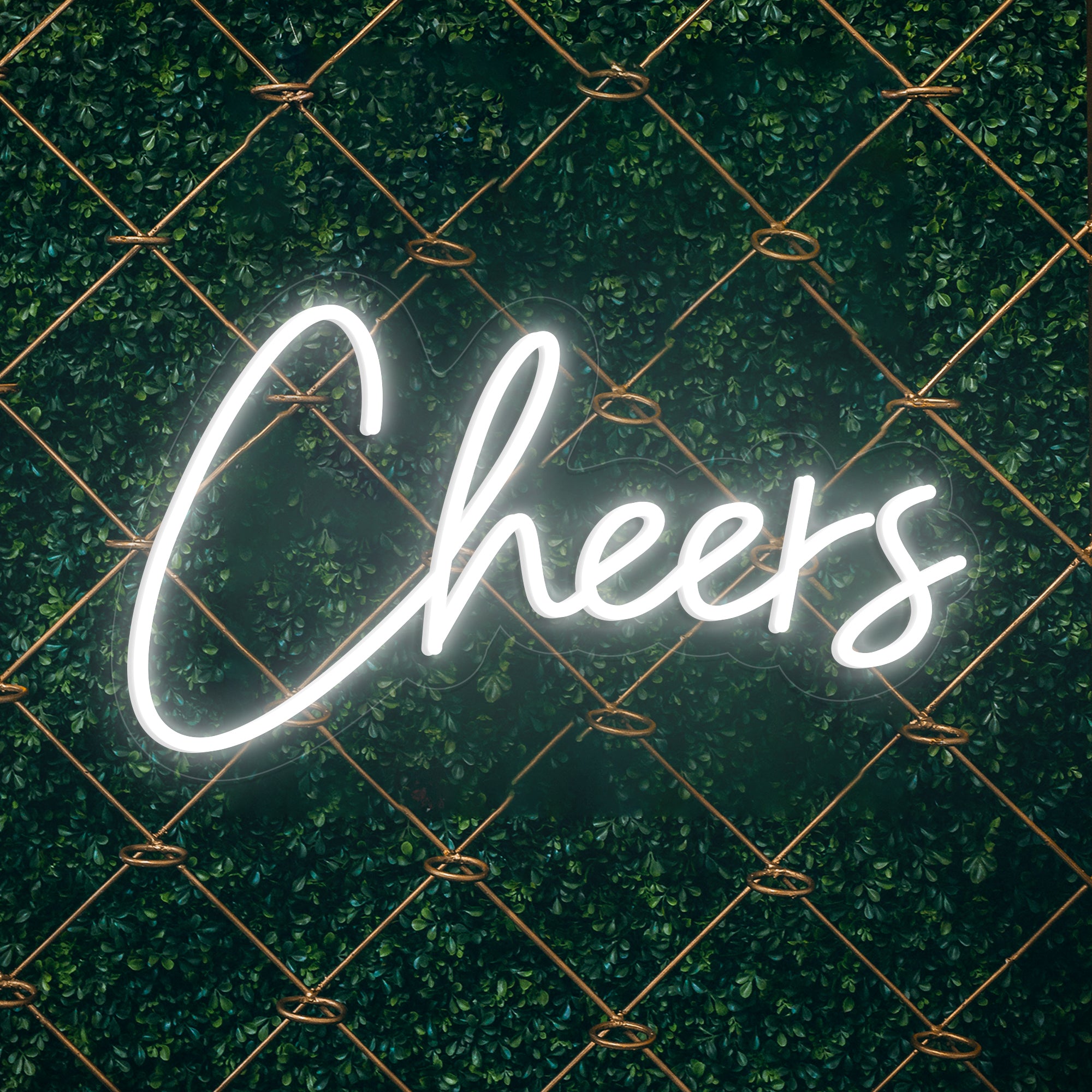 SELICOR Cheers Personalized Neon Signs Celebration Decor