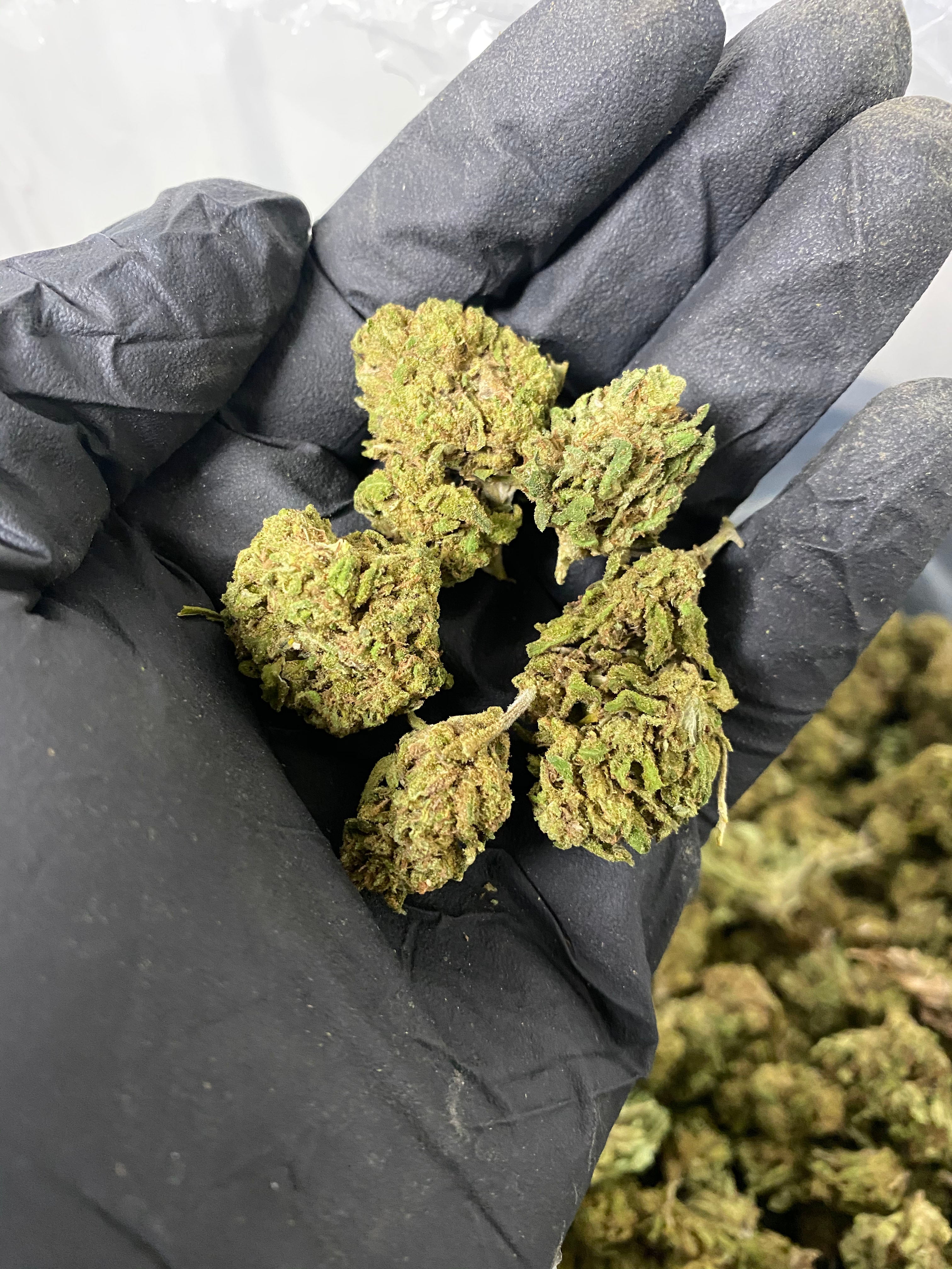 Hawaiian Haze CBD Flower
