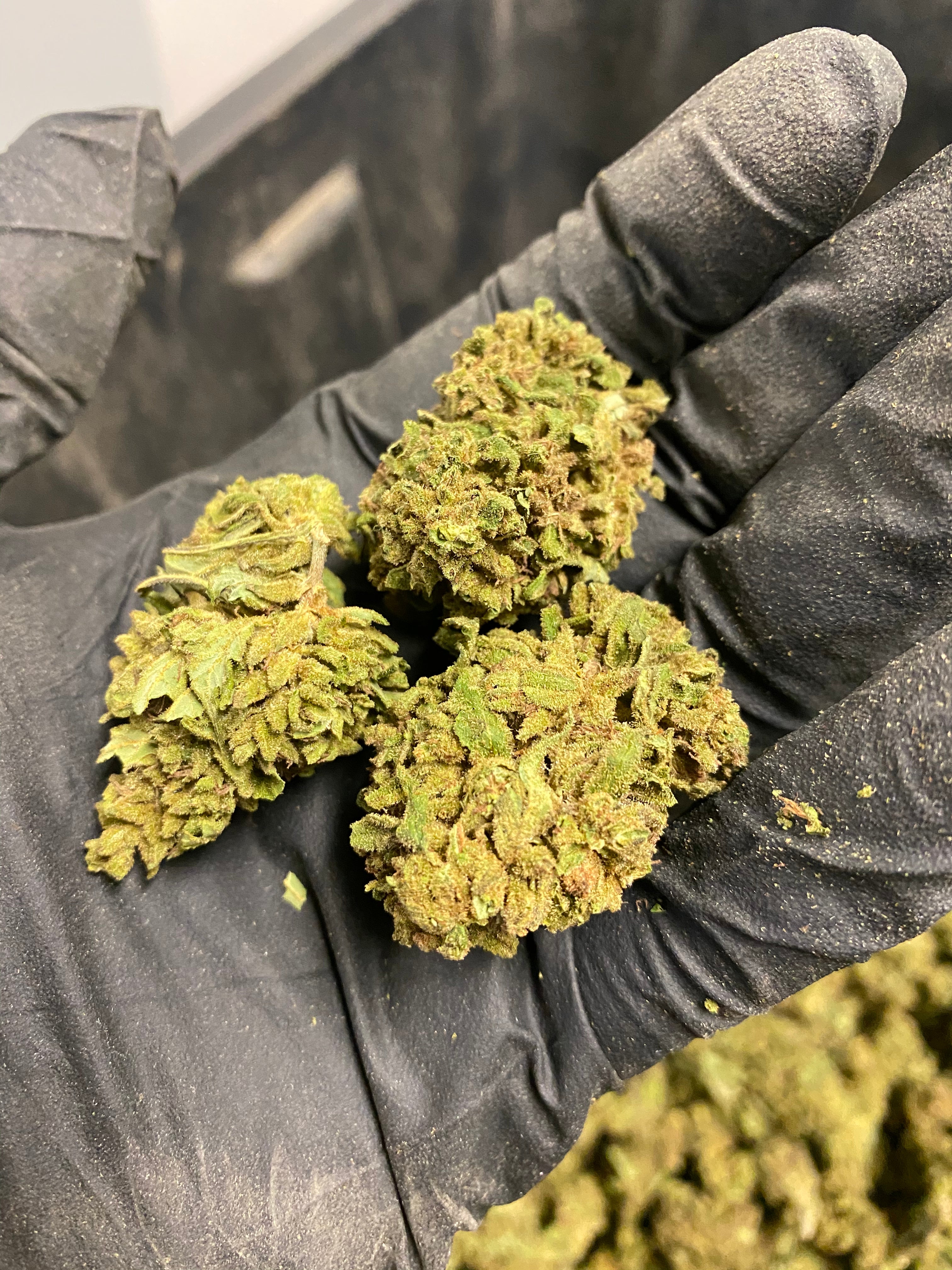 Abicus CBD Flower