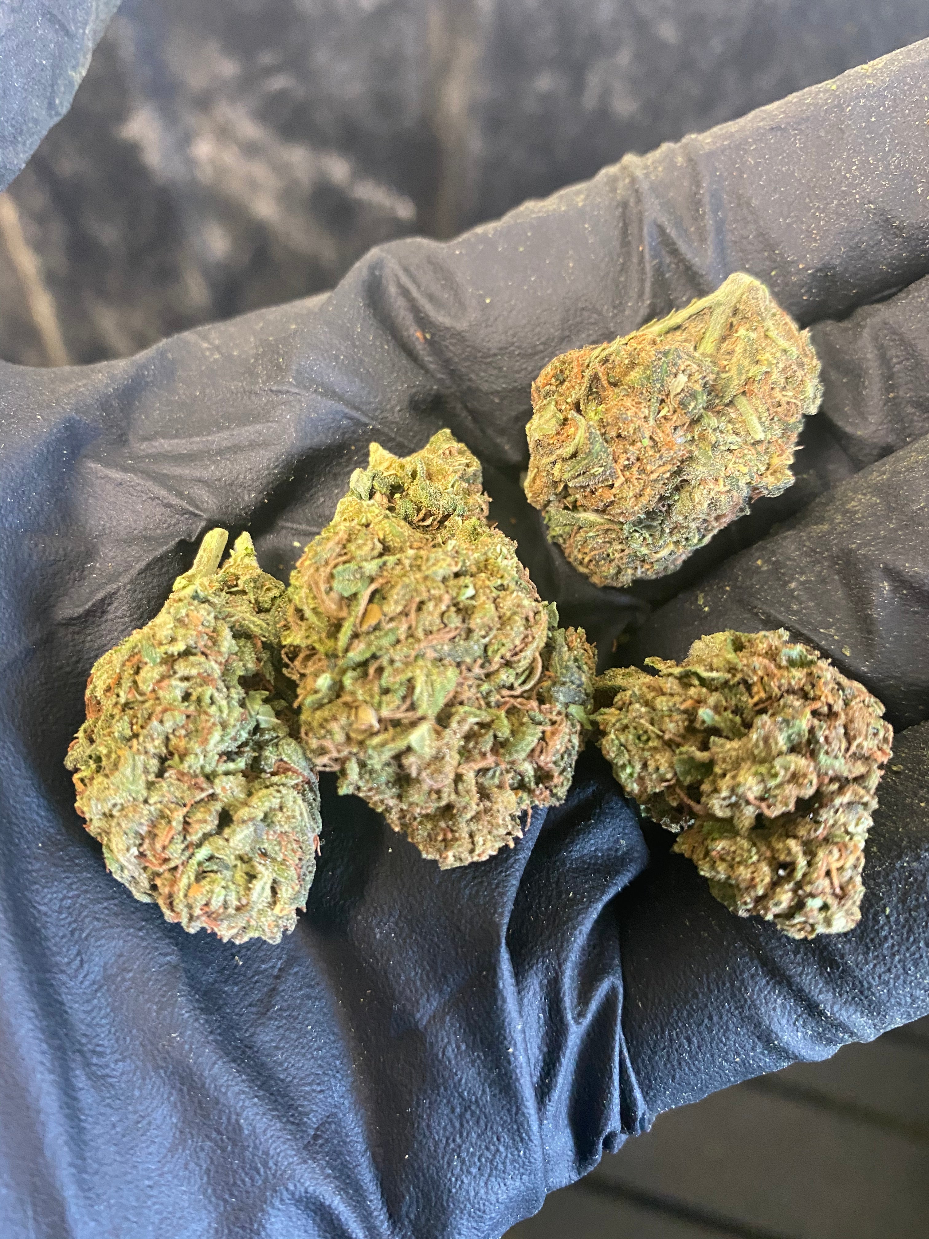 Tokyo CBD Flower