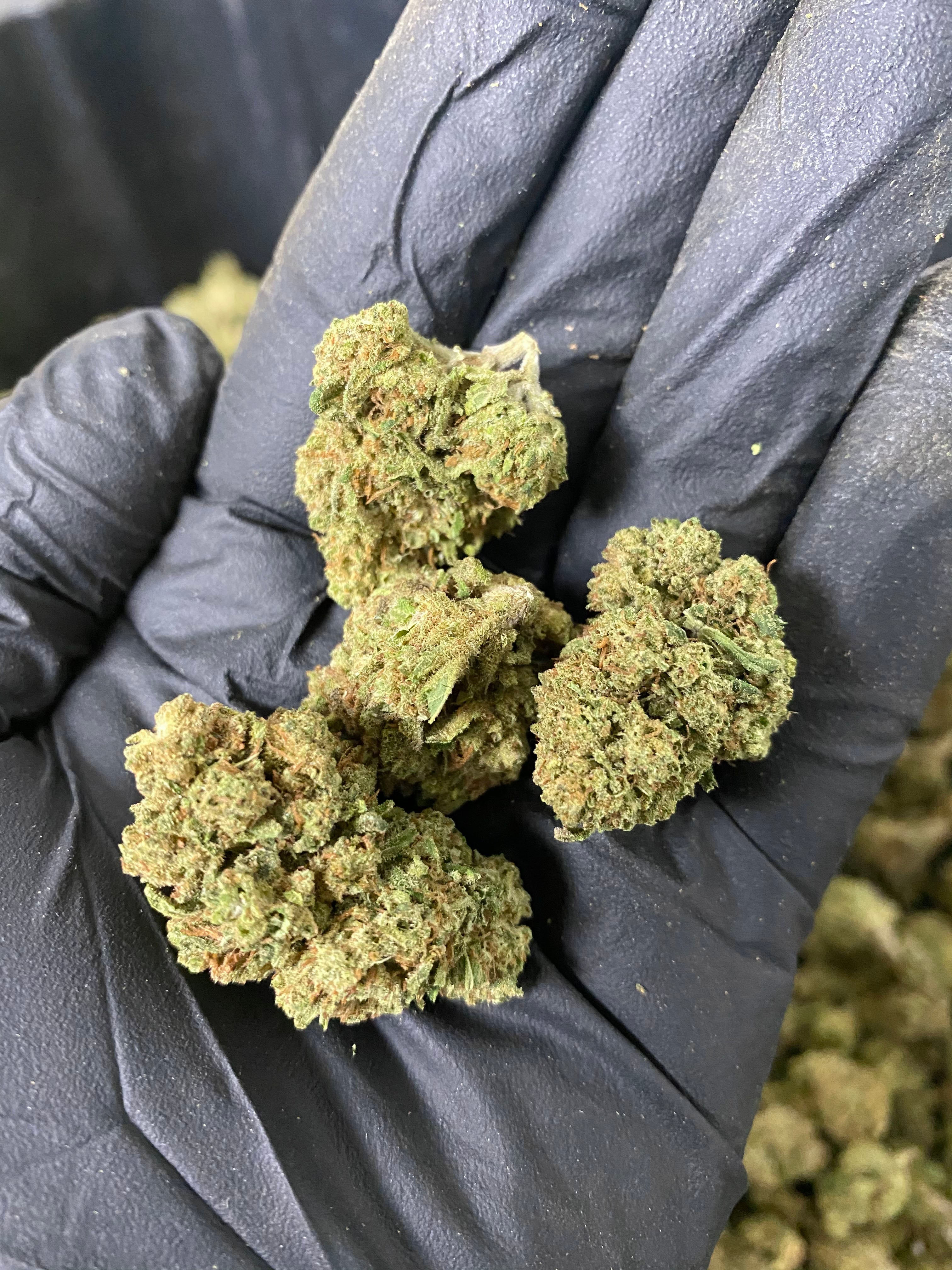 Frosted Lime CBD Flower