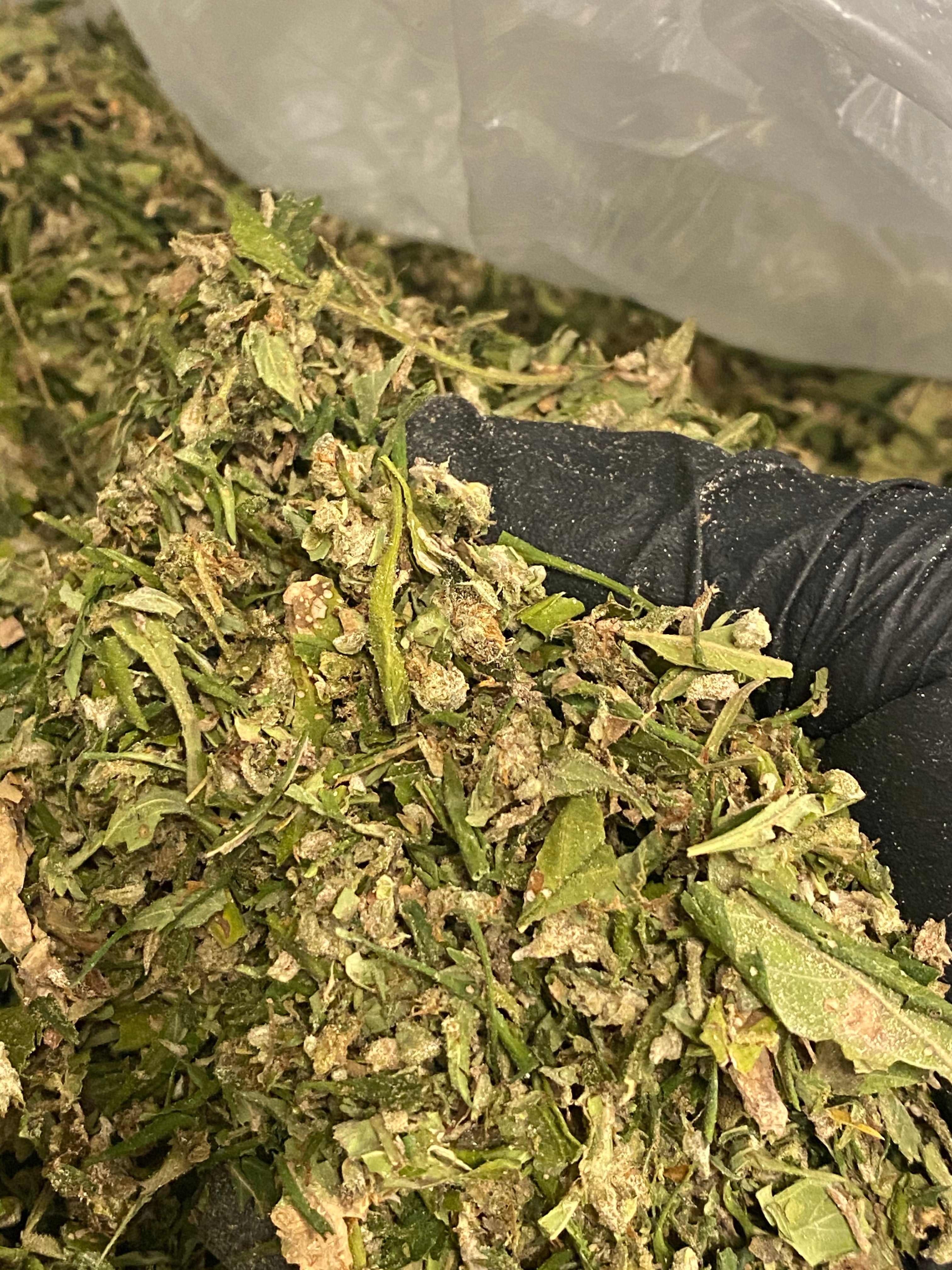 CBG Pound of Trim/Shake