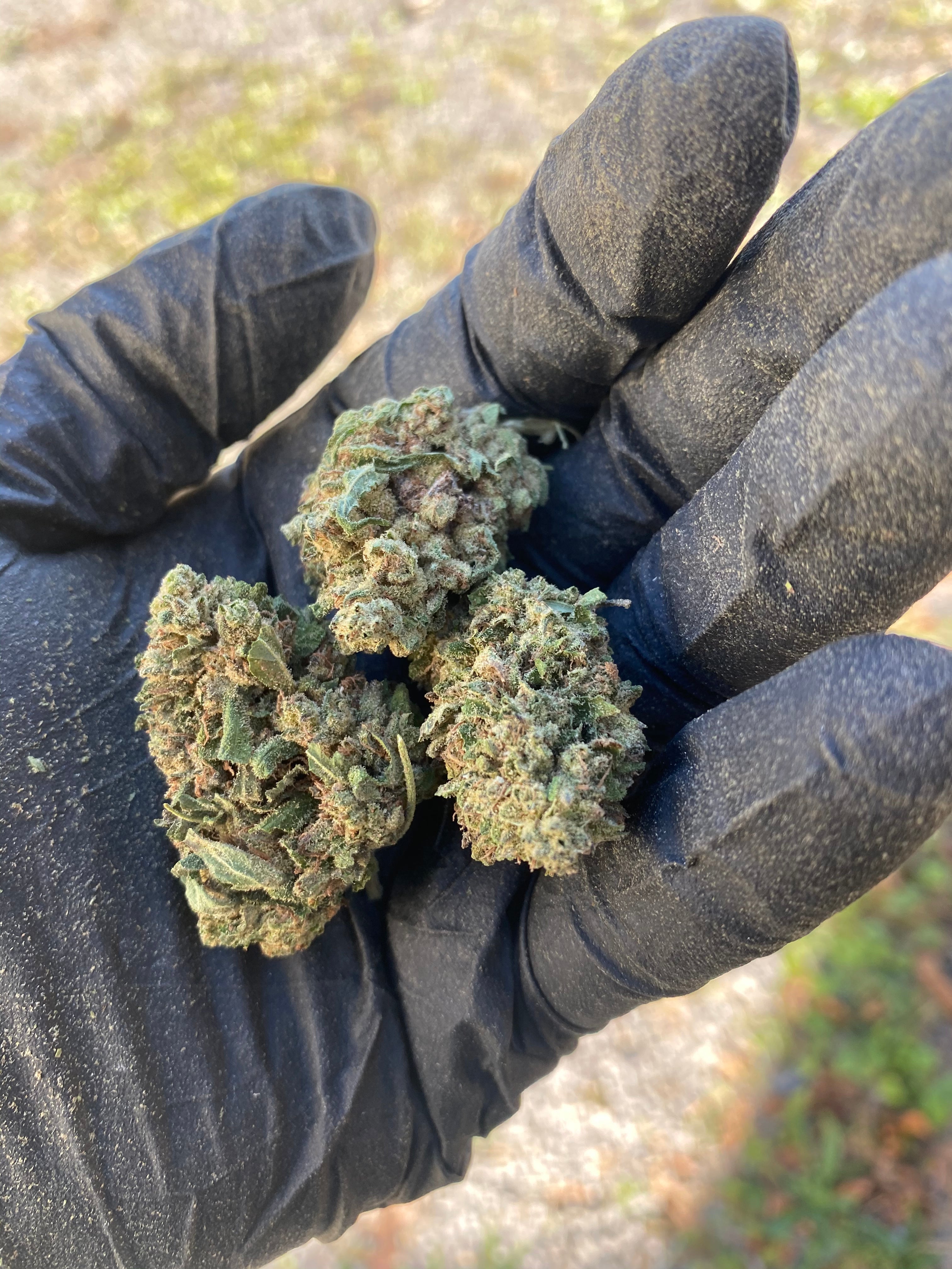 Frosted Kush - CBD Flower
