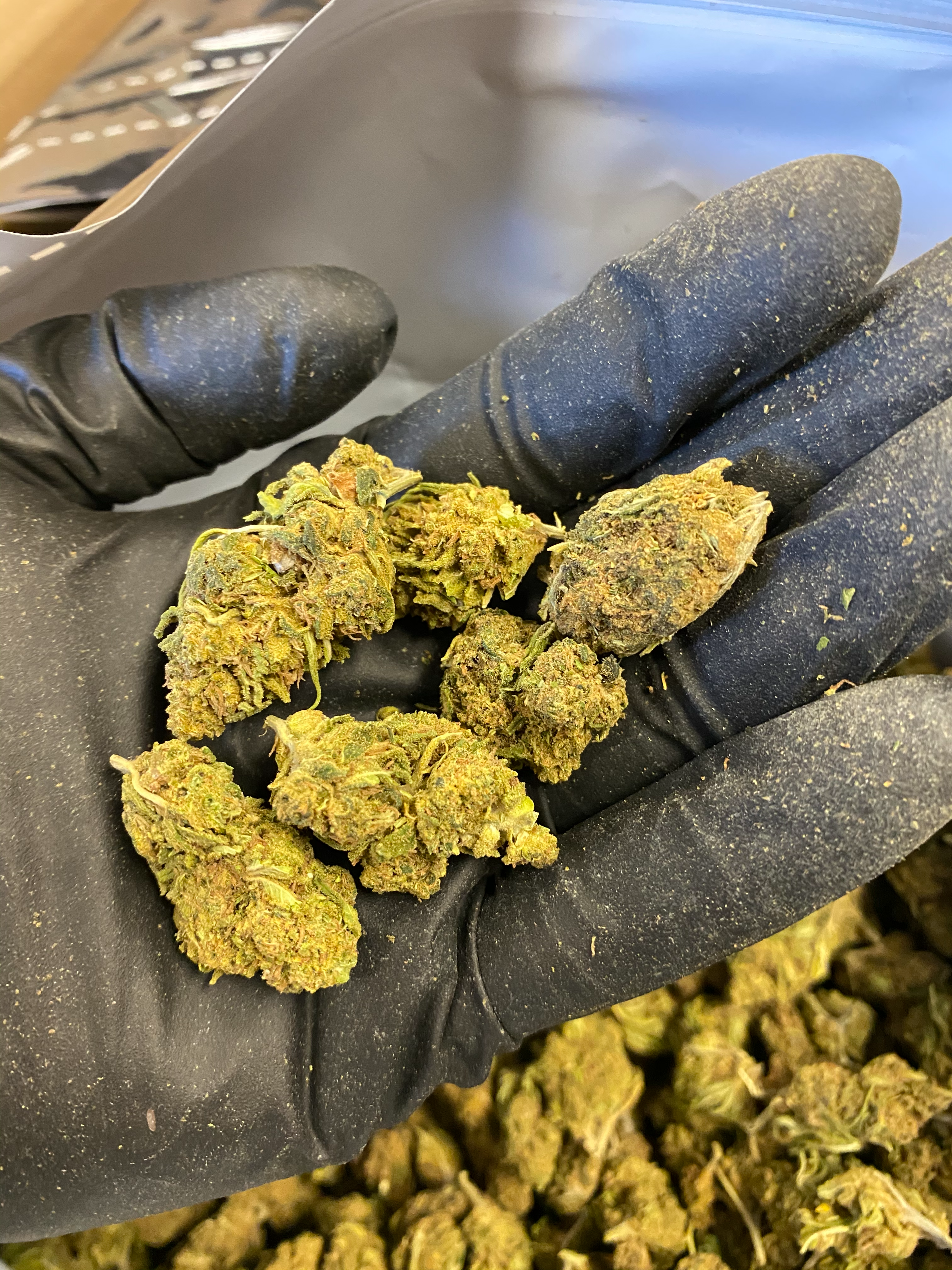 Green Giant CBD Flower