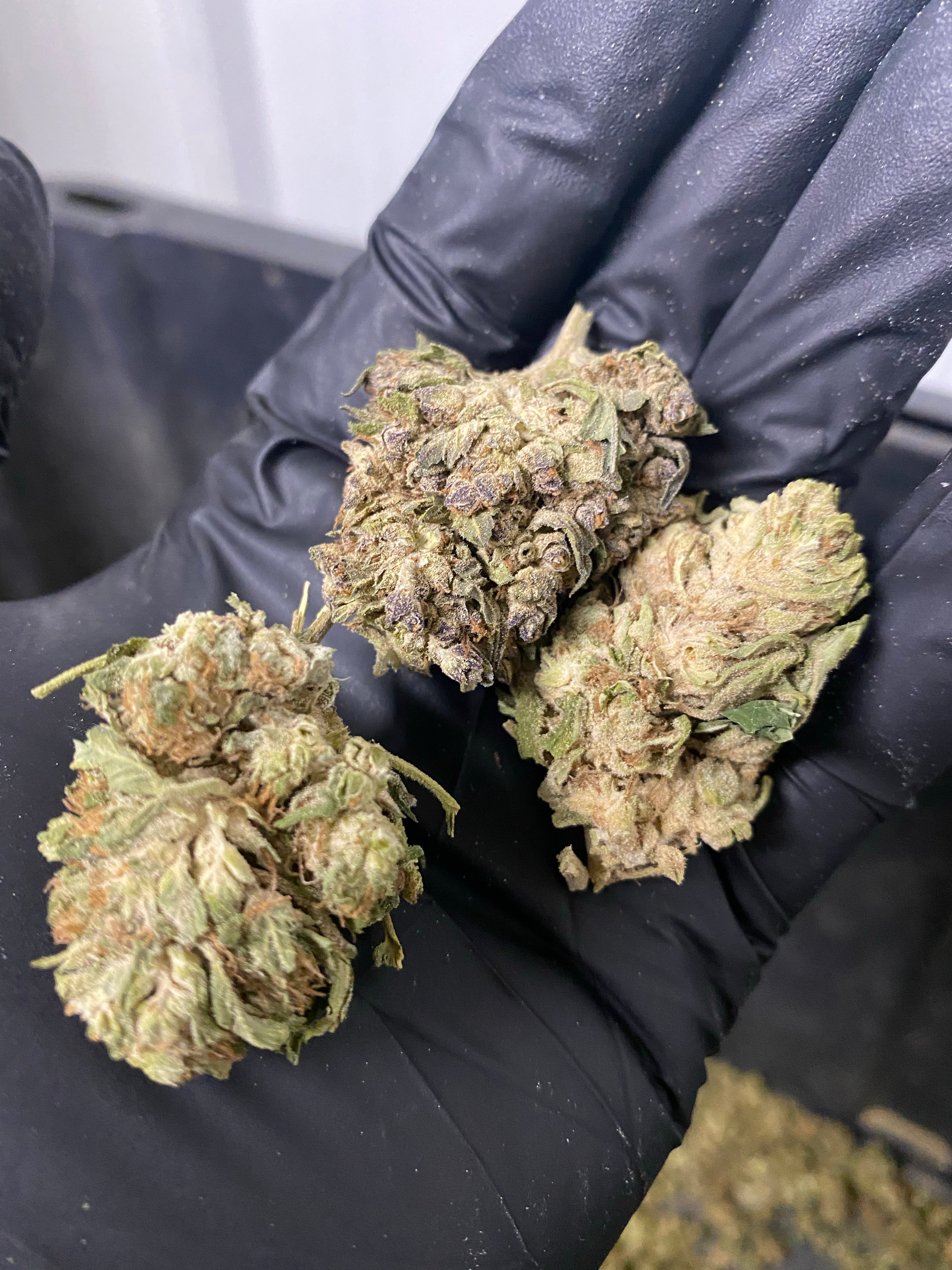 Jackfrost CBG Hemp Flower