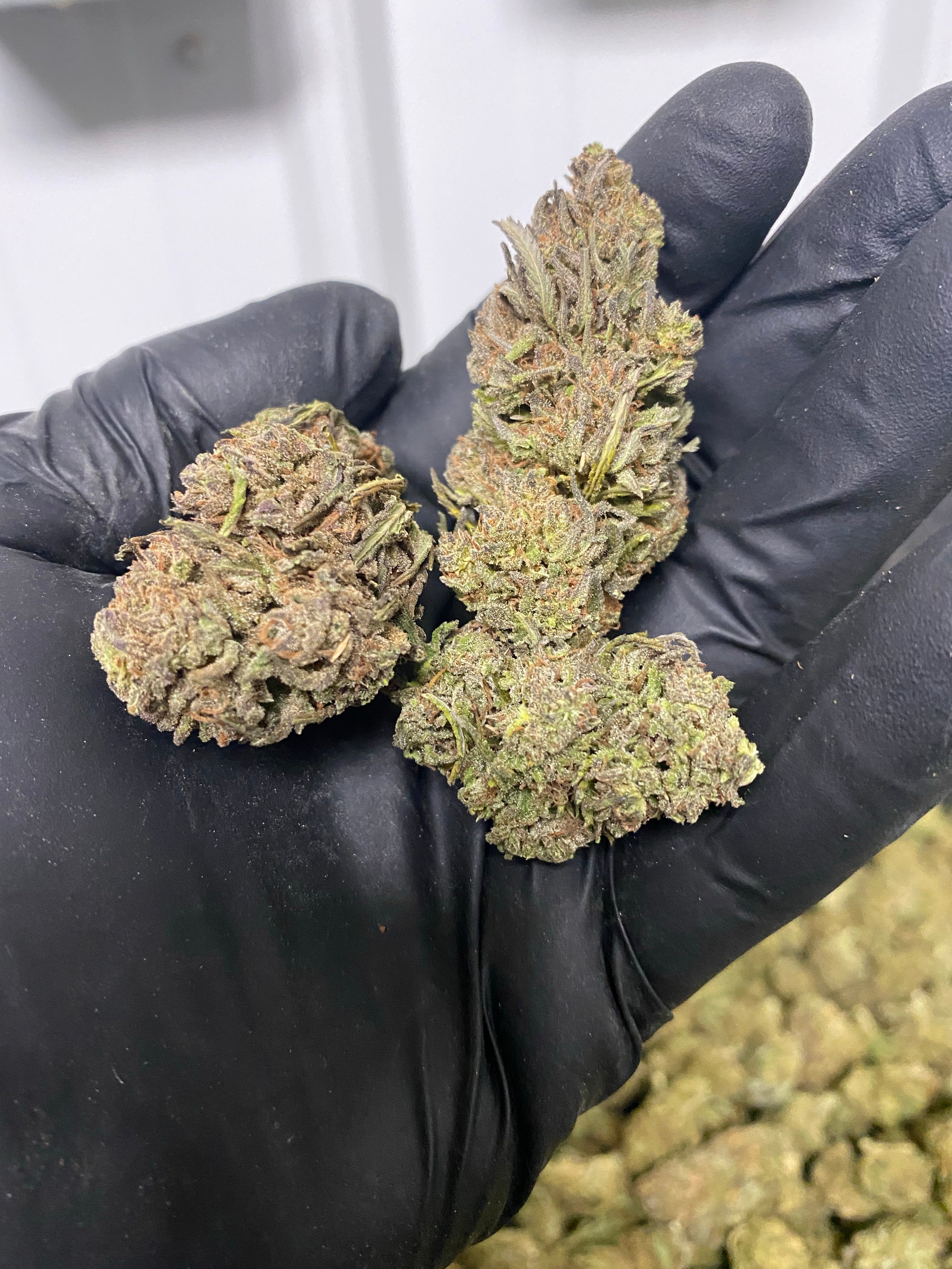 Trump-X CBD Flower