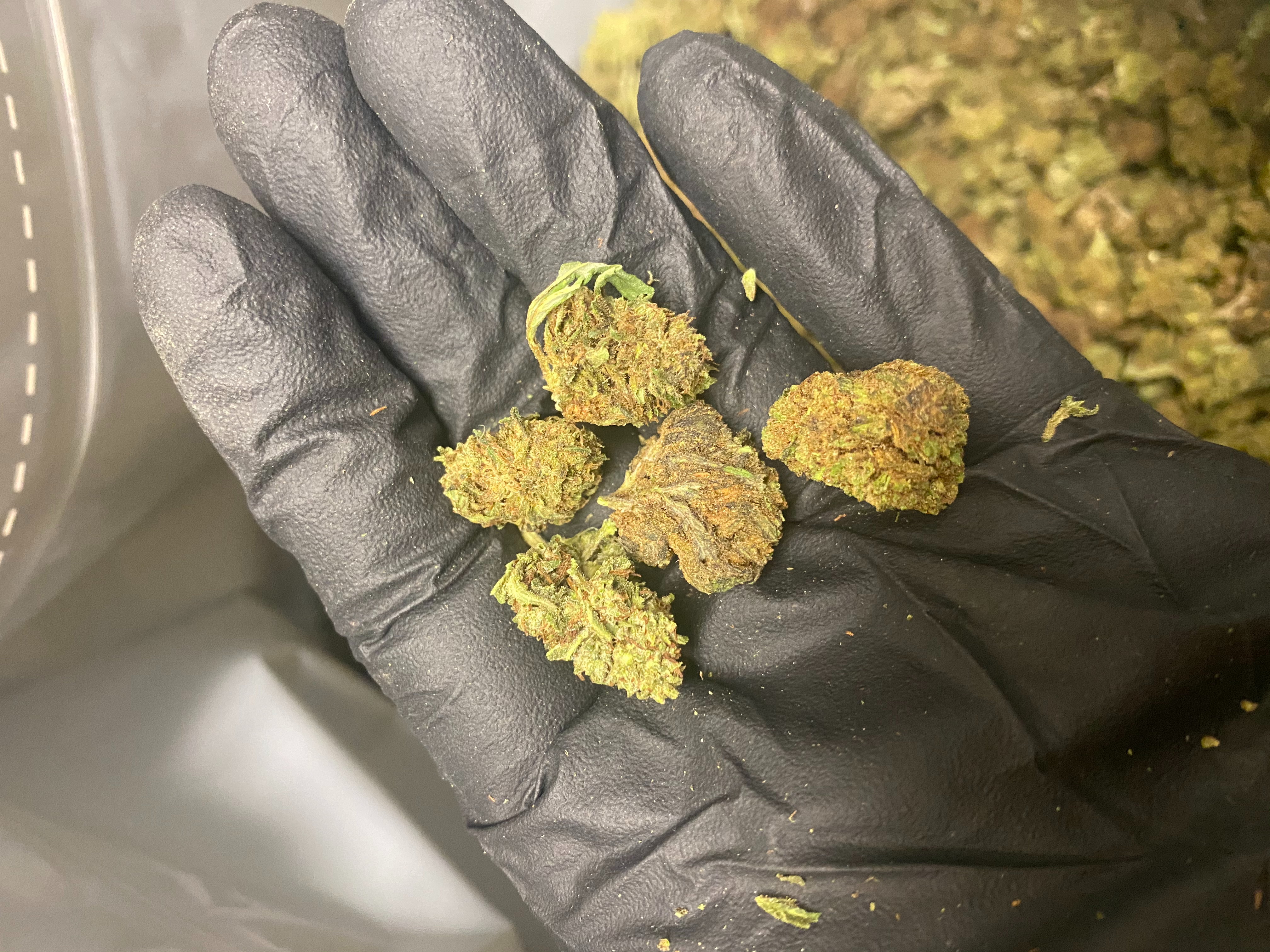 Farmers Hand Smalls