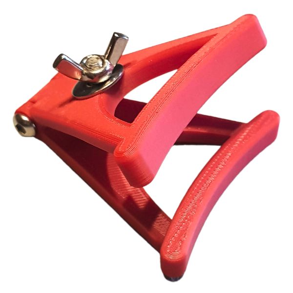 Labia Clamp