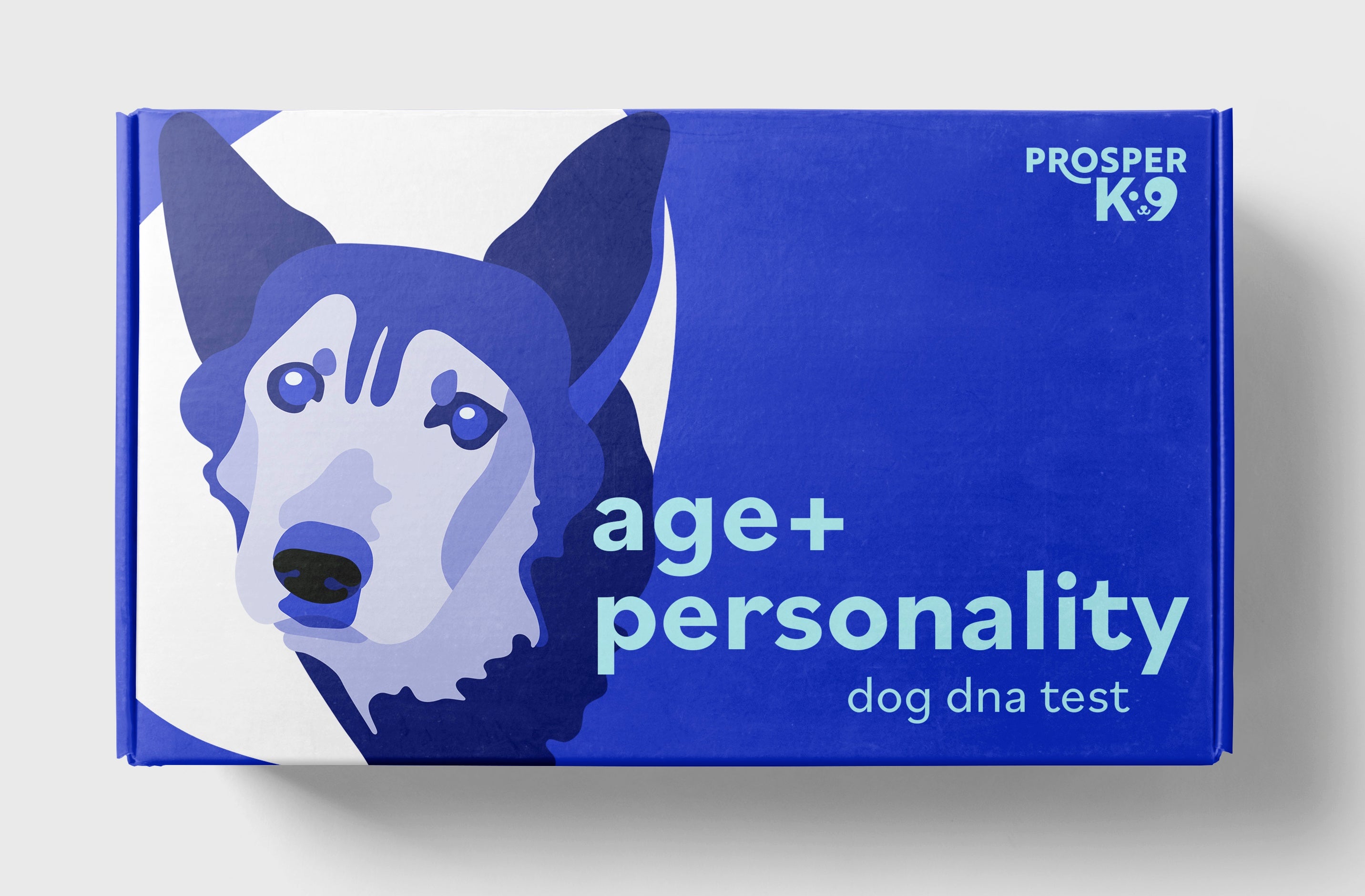 Dog Age Test