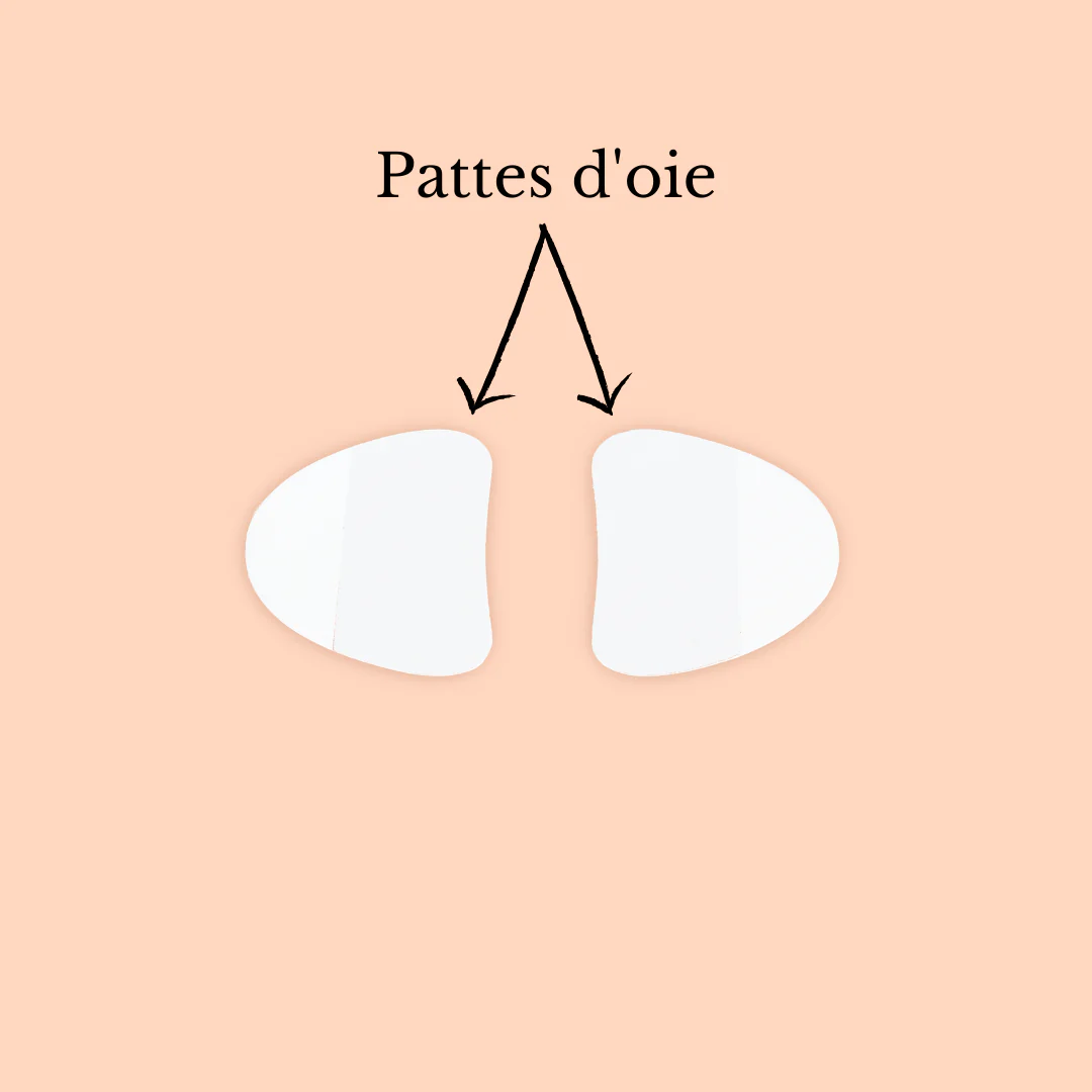 Patchs pattes d'oie (2)