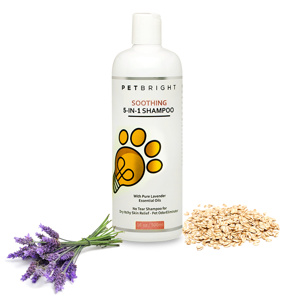 5-in-1 Soothing Oatmeal Shampoo (500ml)