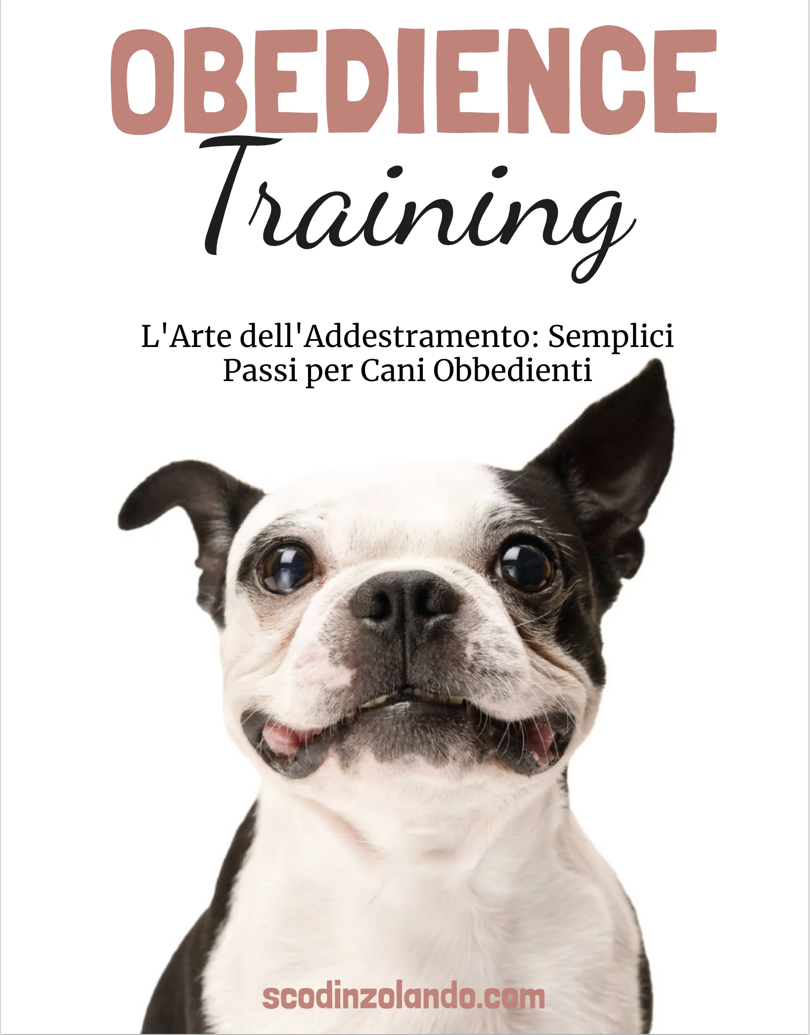 L'Arte dell'Addestramento: Semplici Passi per Cani Obbedienti