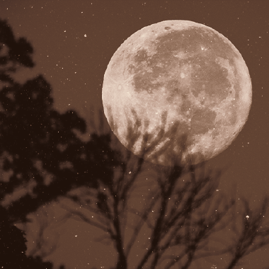 FULL MOON IN CANCER WORKSHOP