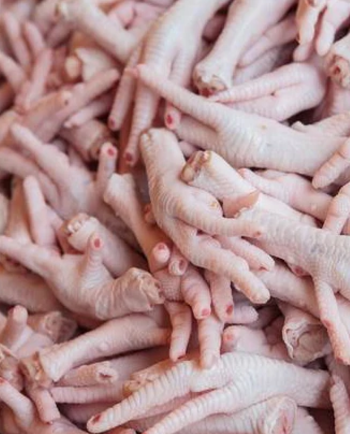 Raw Chicken Feet 2 LB Bag