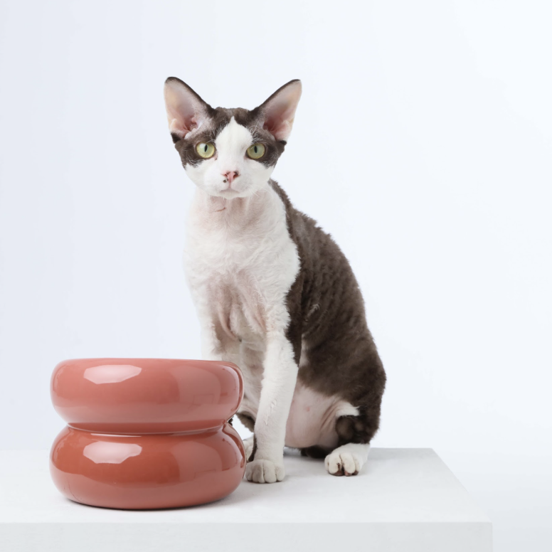 Souffle Pet Bowl