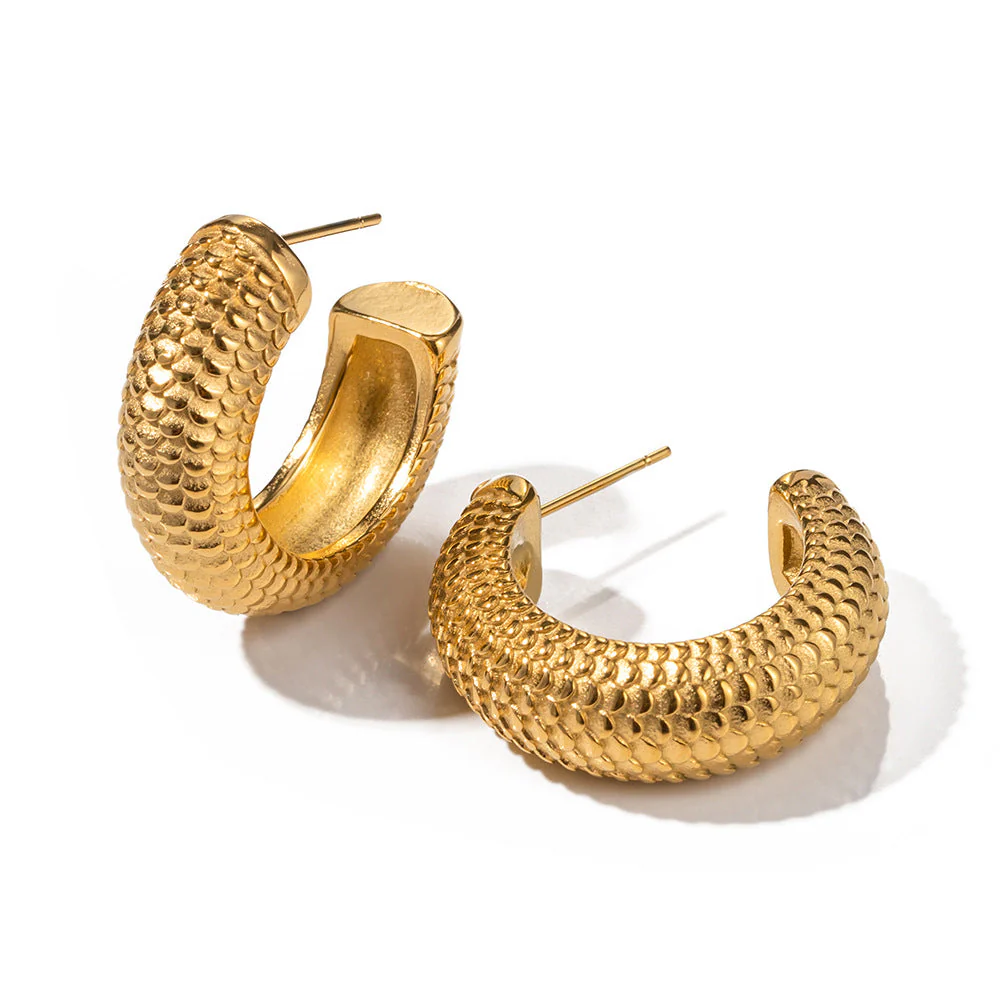 Fish Scale-Shaped Earrings: Hip-hop Style for Women