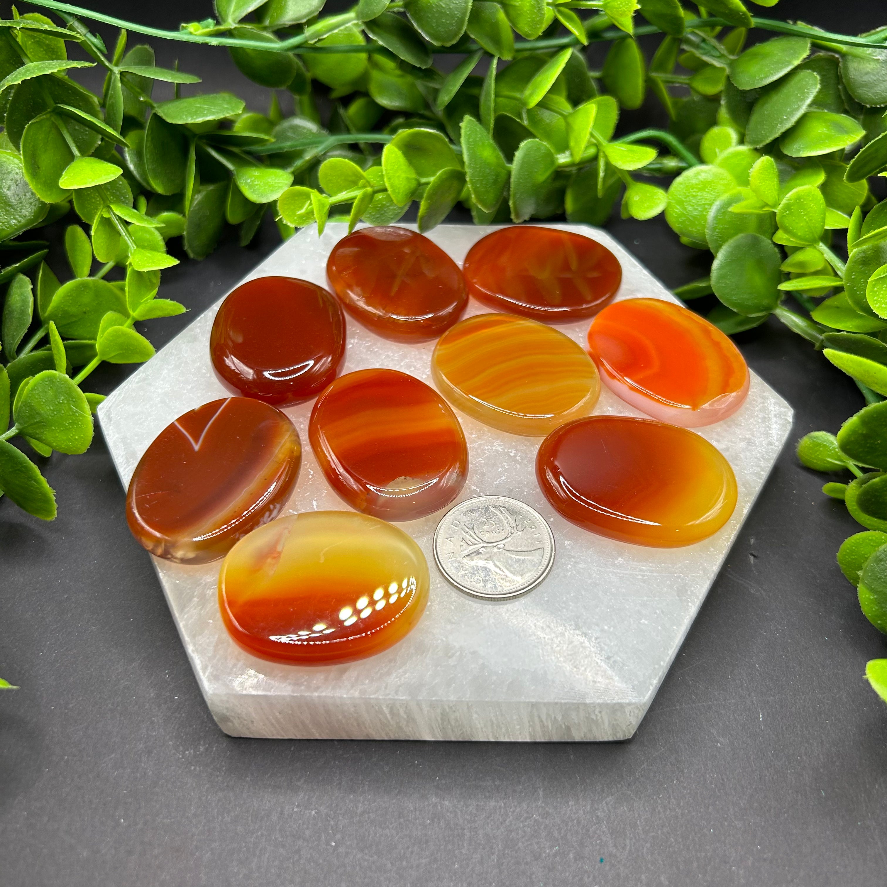 Carnelian Polished Palm Stones