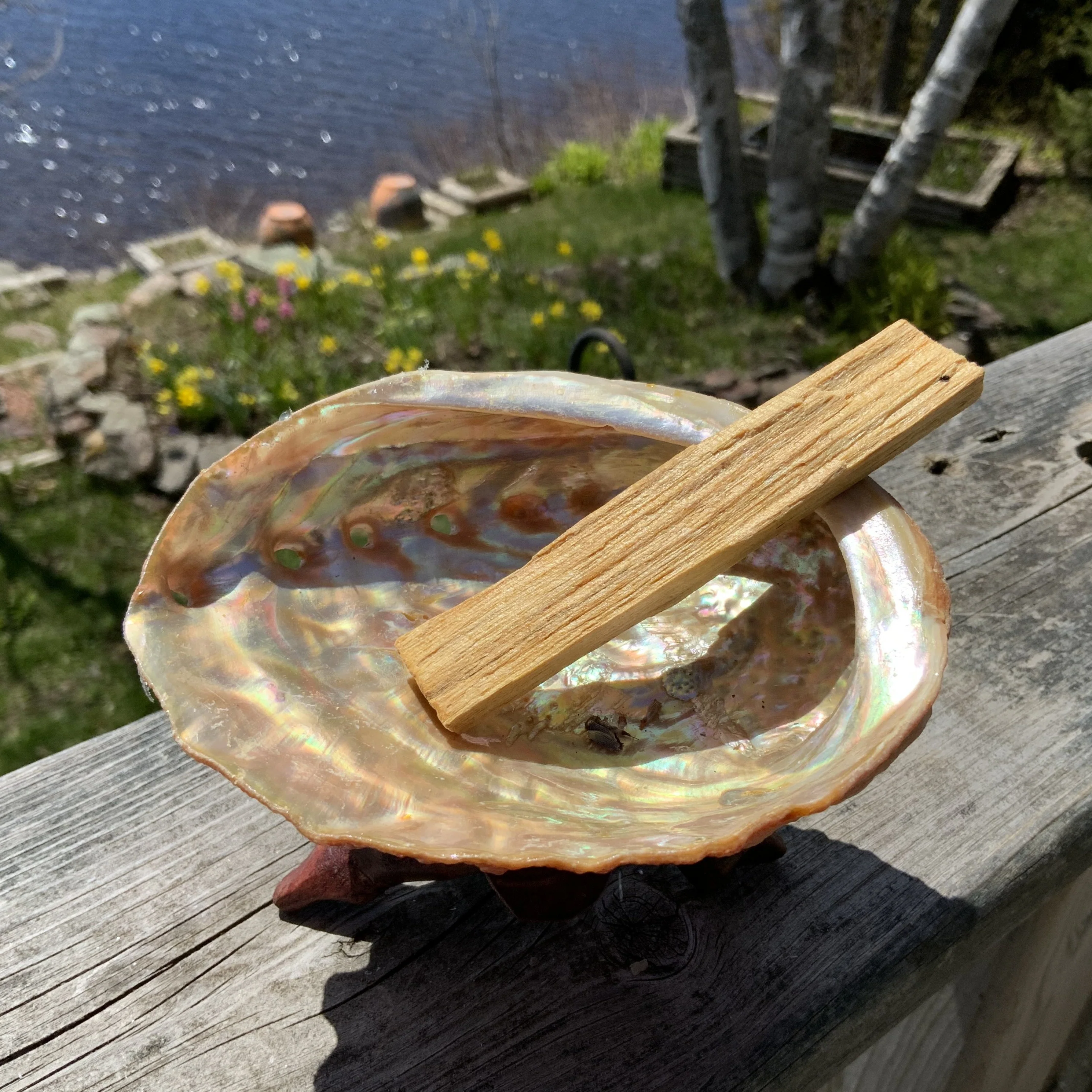 4" Palo Santo Smudging Stick