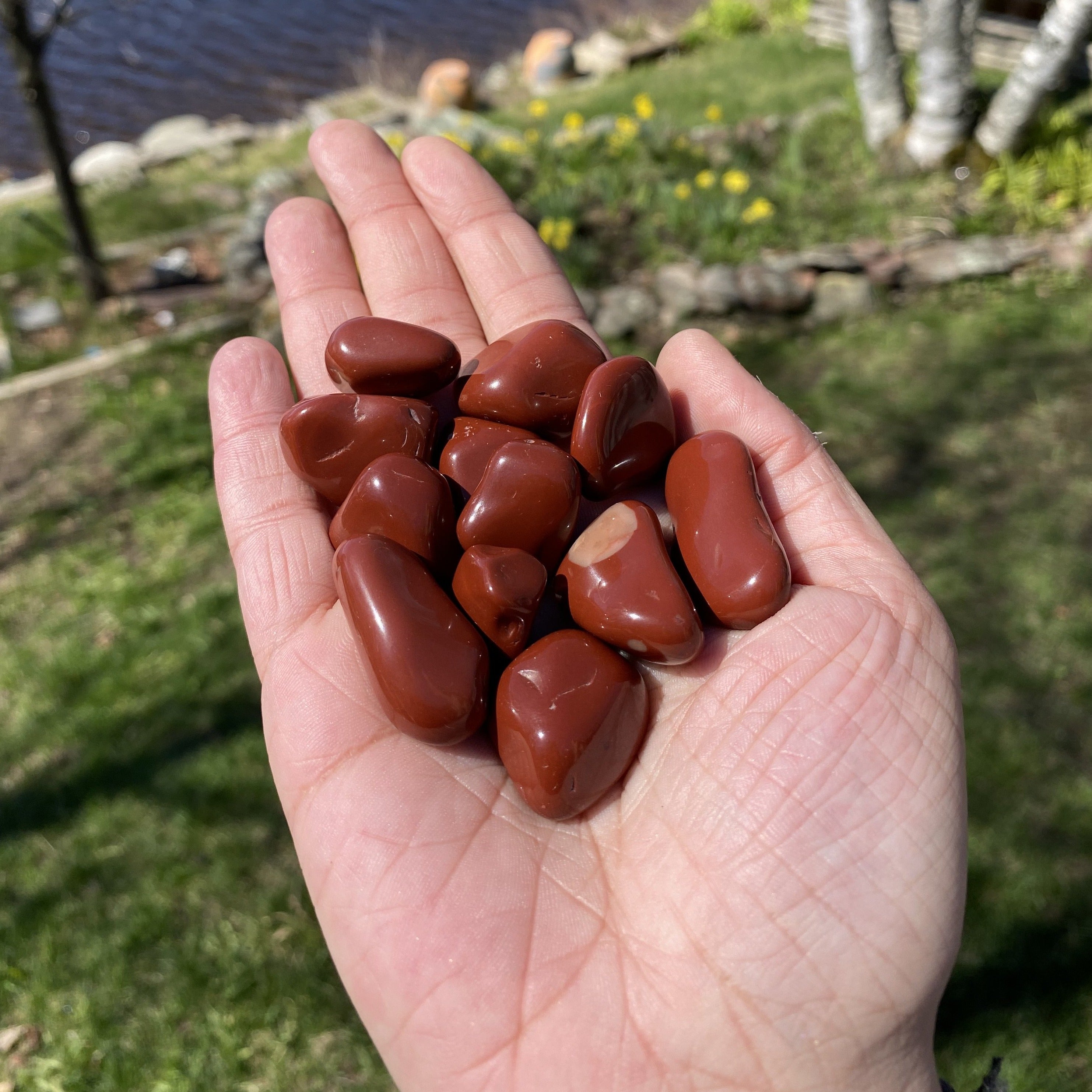 Red Jasper Tumbled Healing Stones