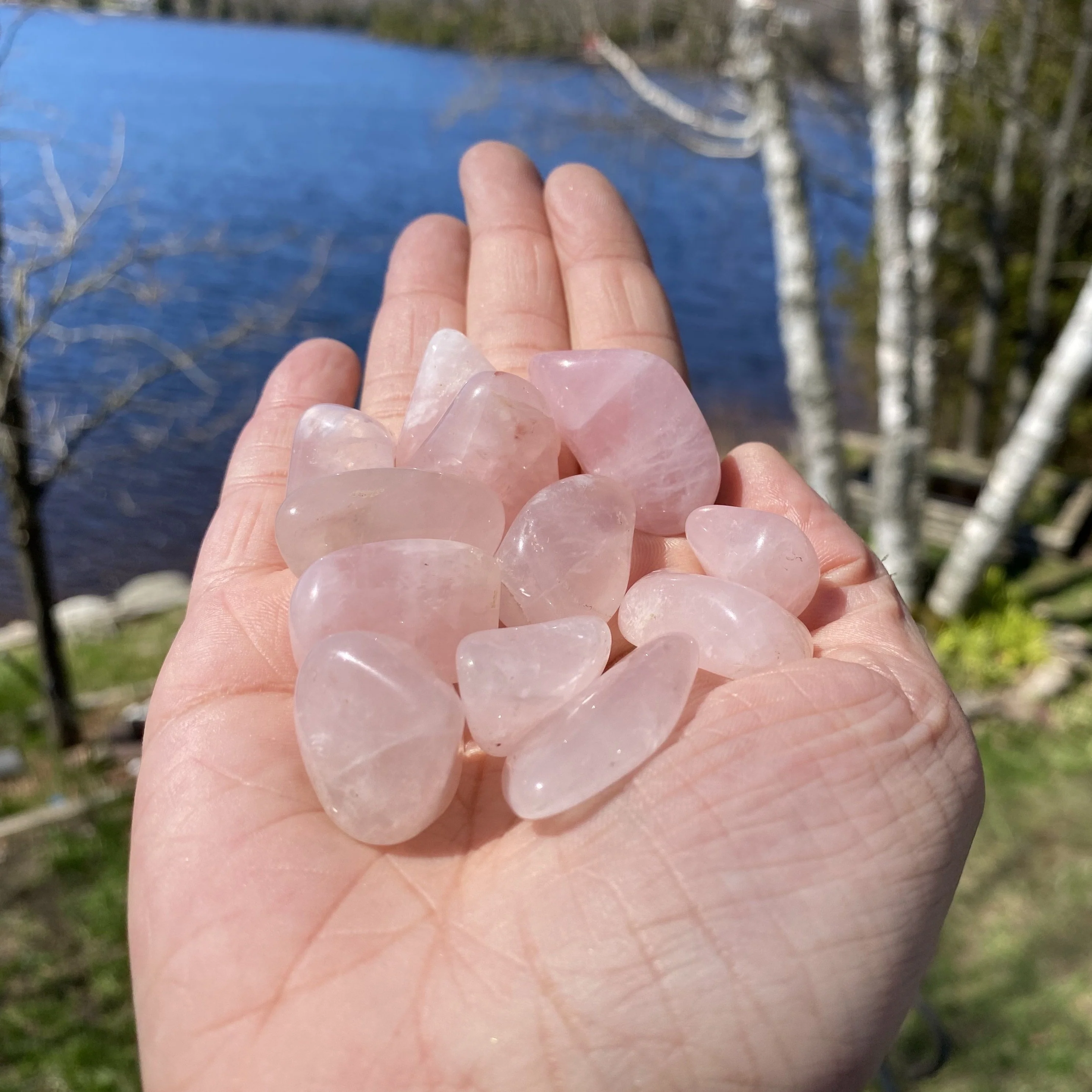 Rose Quartz Tumbled Healing Stones