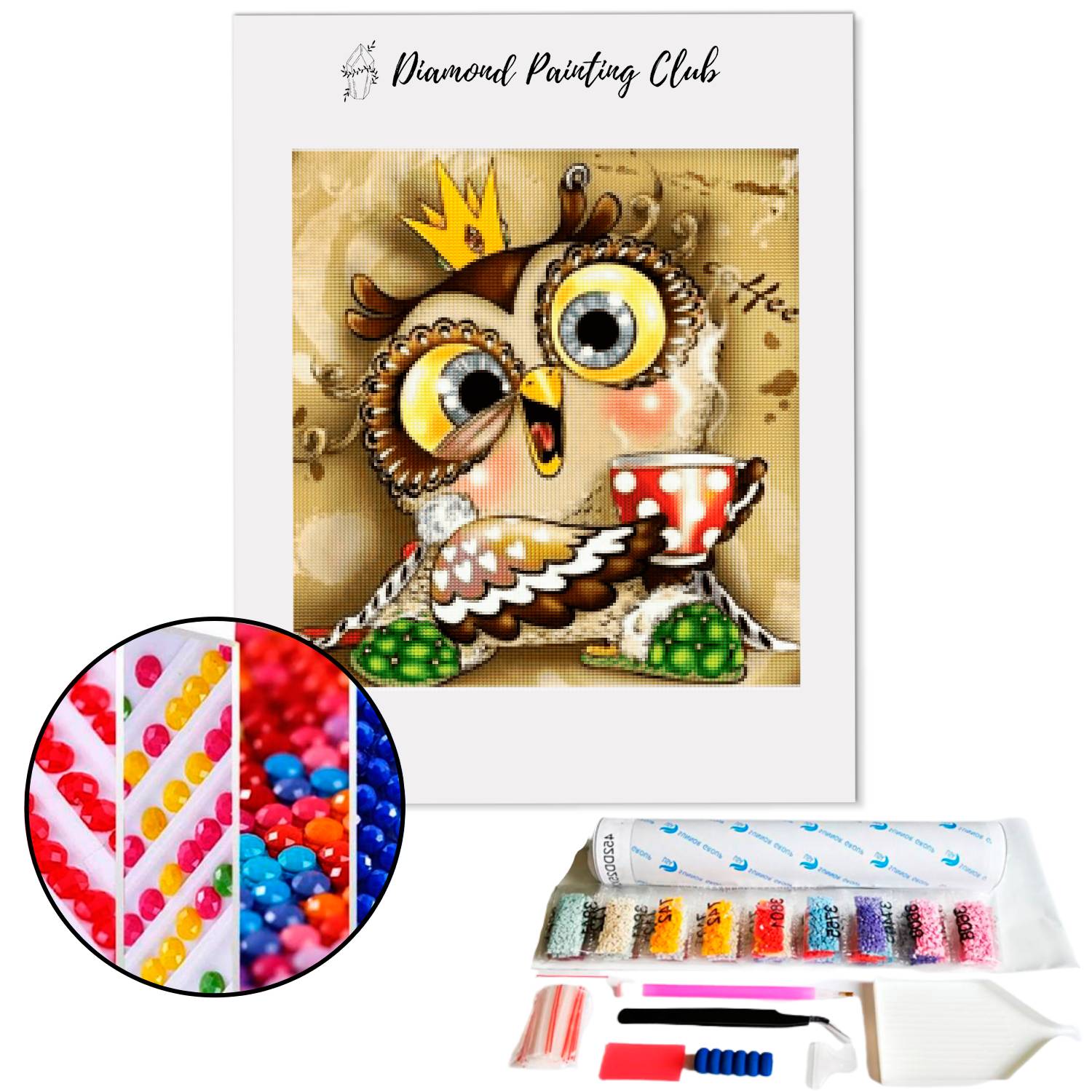 Broderie diamant Chouette déjanté