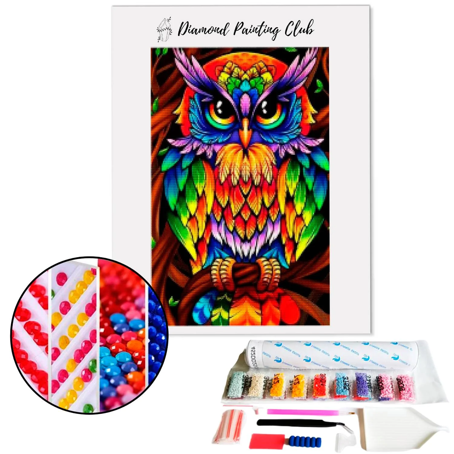 Broderie diamant Hibou Multicolore