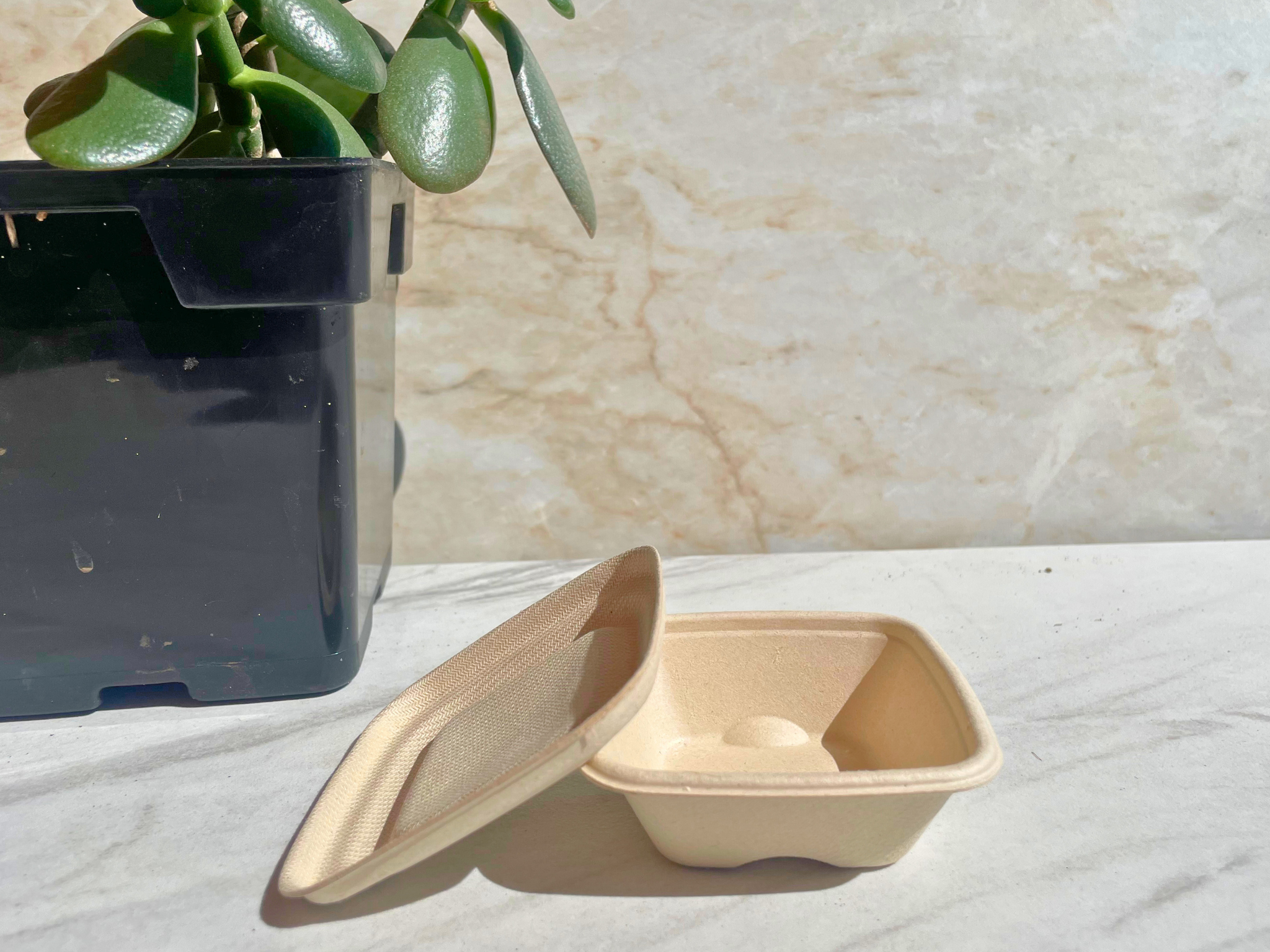 Eco Friendly Portion Lid 2oz - Soil Compostable