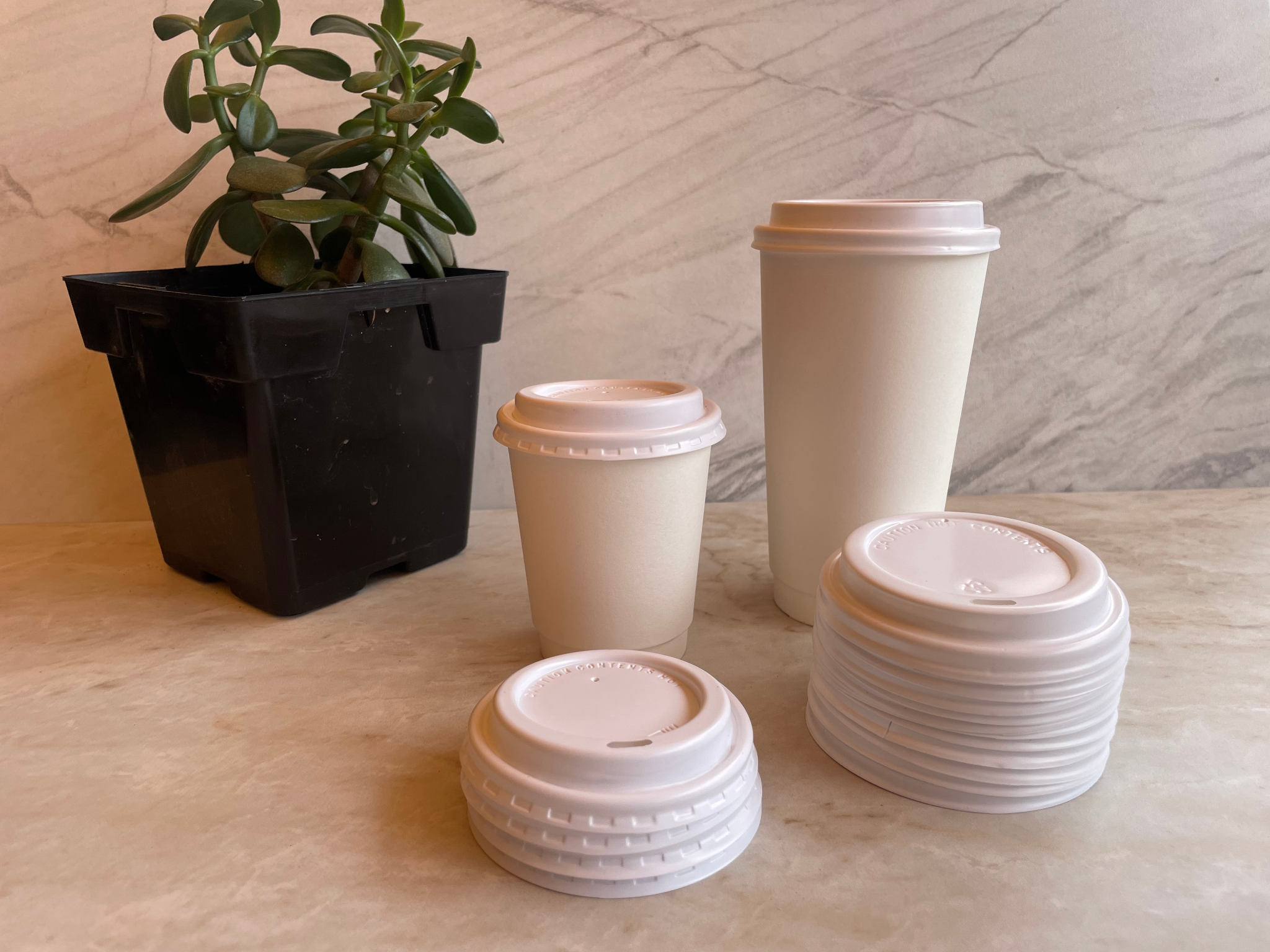 WS* Eco Friendly Cup Lids - 12oz , 16oz , 20oz - Soil Compostable