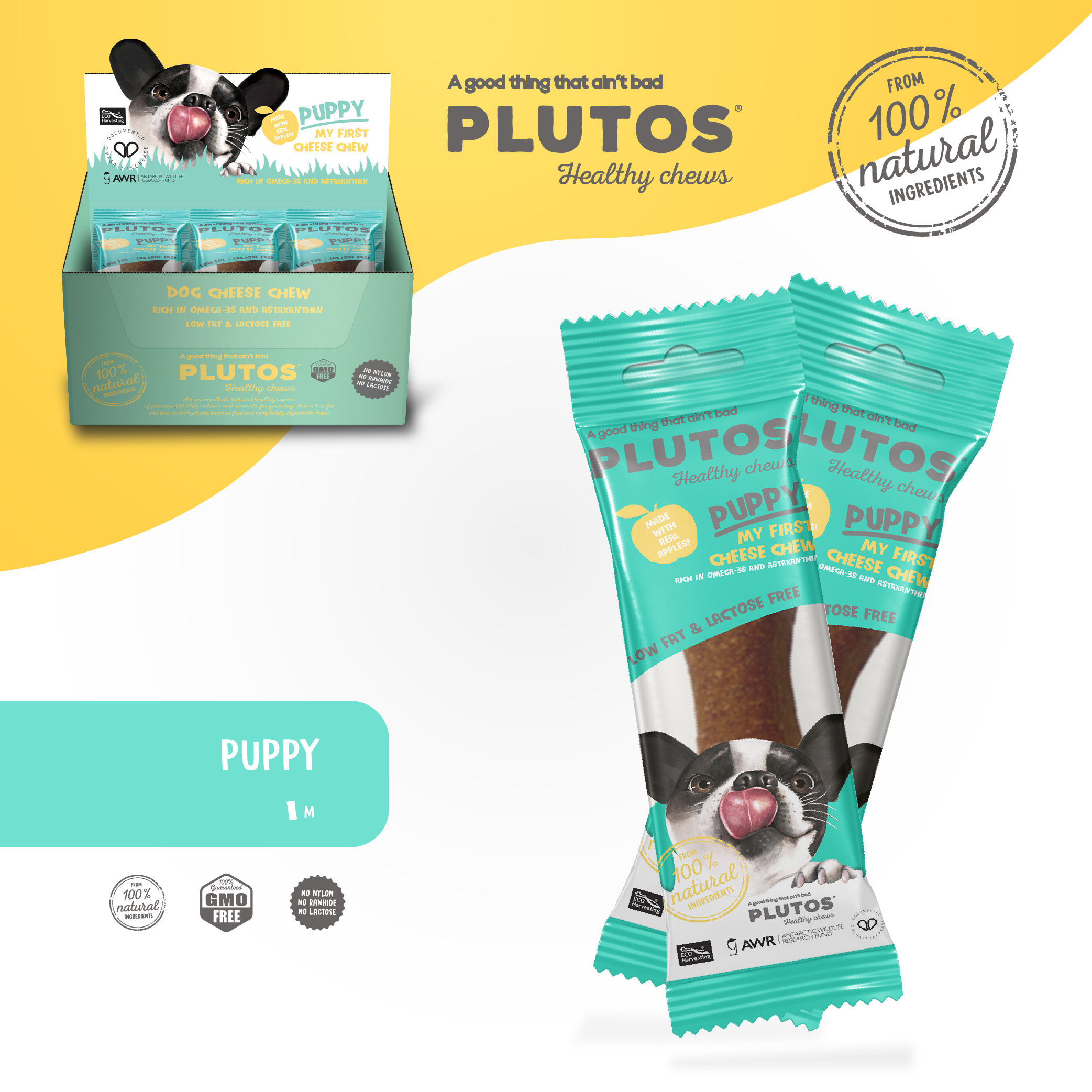 PLUTOS Puppies "My first cheese chew" | From 5 Units