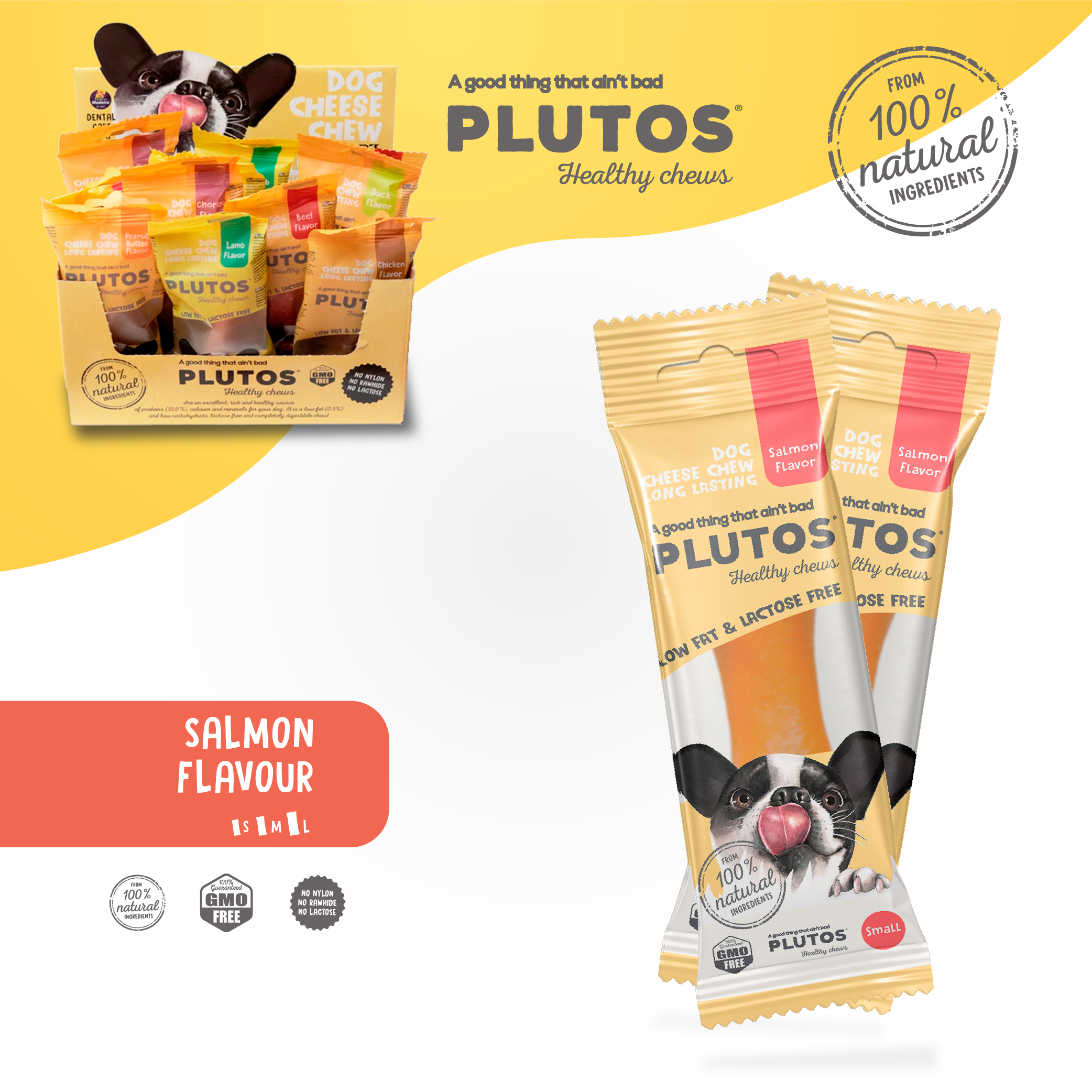 PLUTOS Cheese & Salmon Healthy Chew | From 3 Units