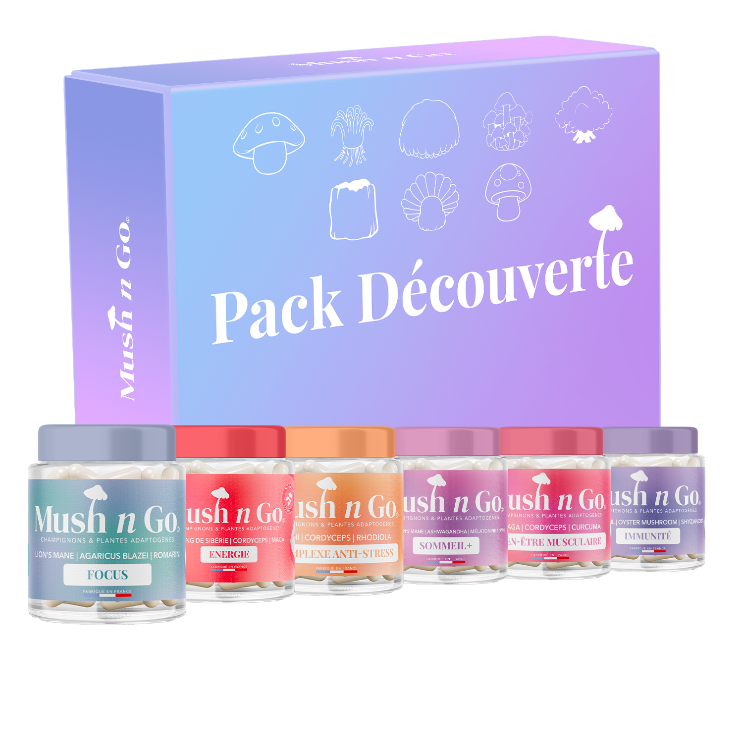 Pack Découverte