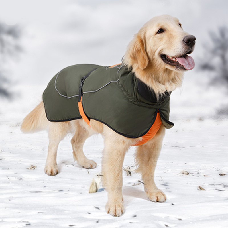 Big Dog Clothing Outdoor Jacket Waterproof Windproof Raincoat
