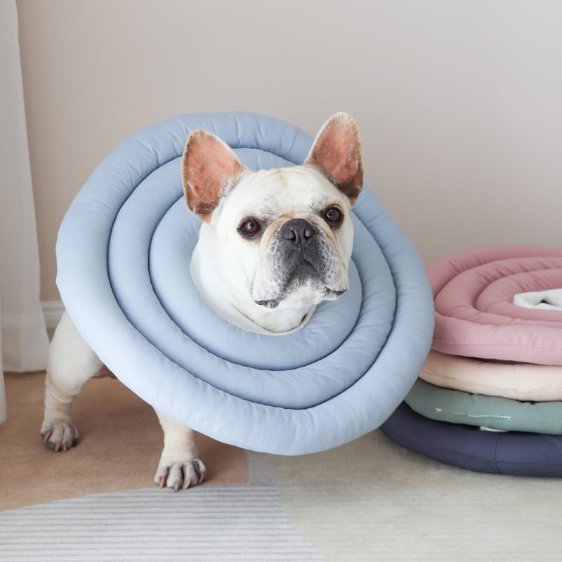 Elizabeth Cone Adjustable Collar for Dog & Cat
