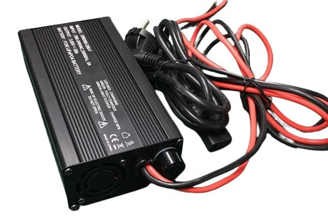 3.65V 20A Top Balancing Charger for LiFePO4 Cells