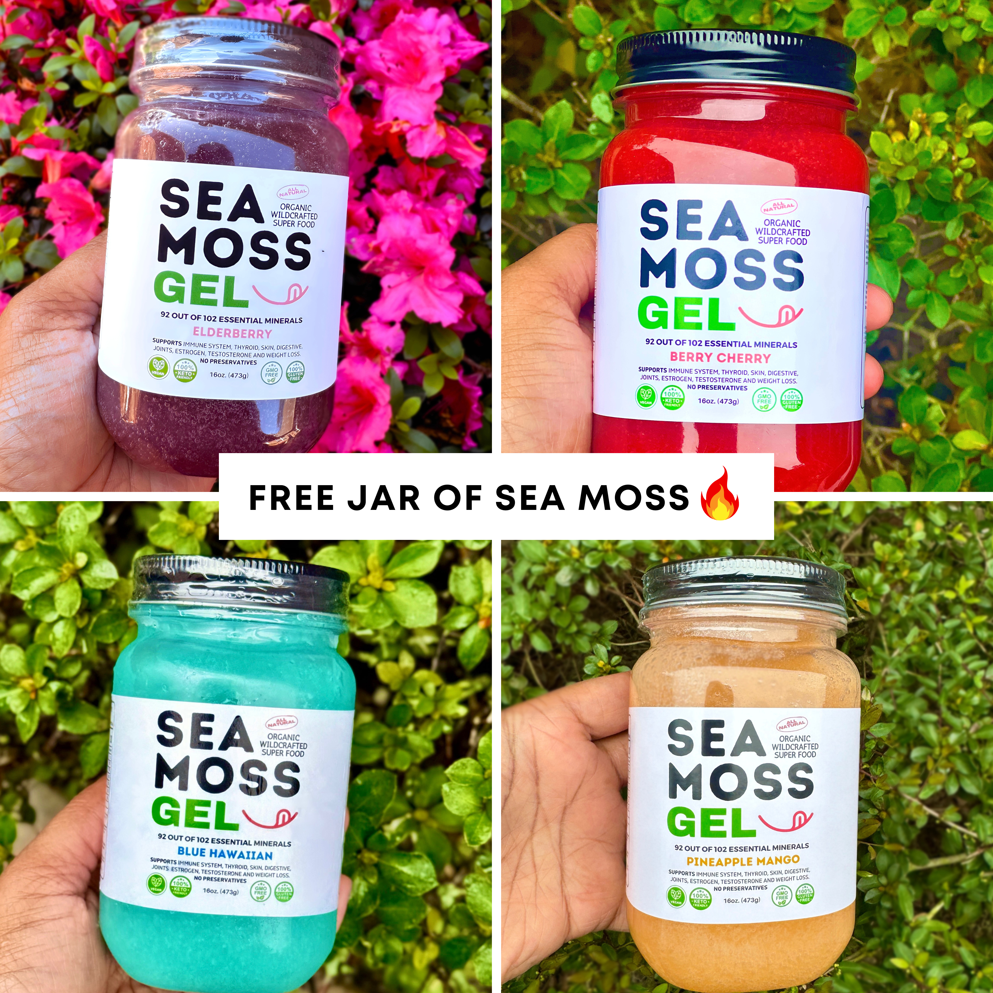 (Sea Moss Summer Deal) Free Jar