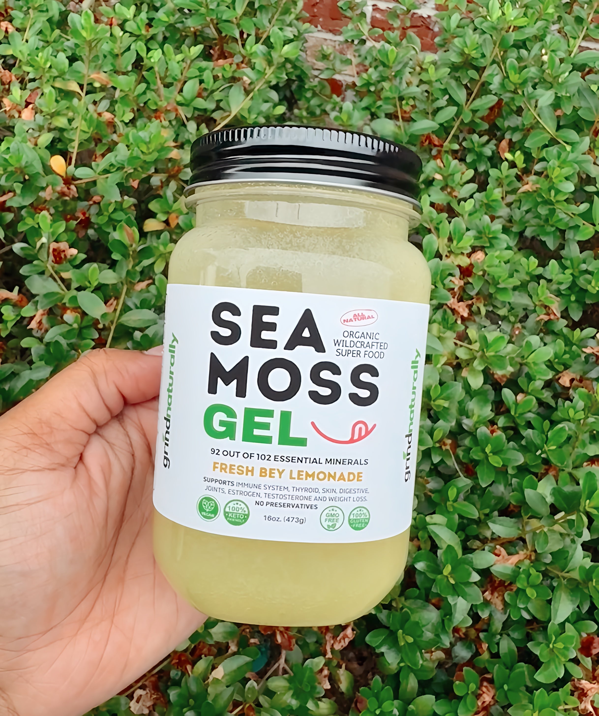 Fresh Lemonade Sea Moss Gel - Dr. Sebi Inspired 100% Raw Organic - Wild Harvested Sea Moss