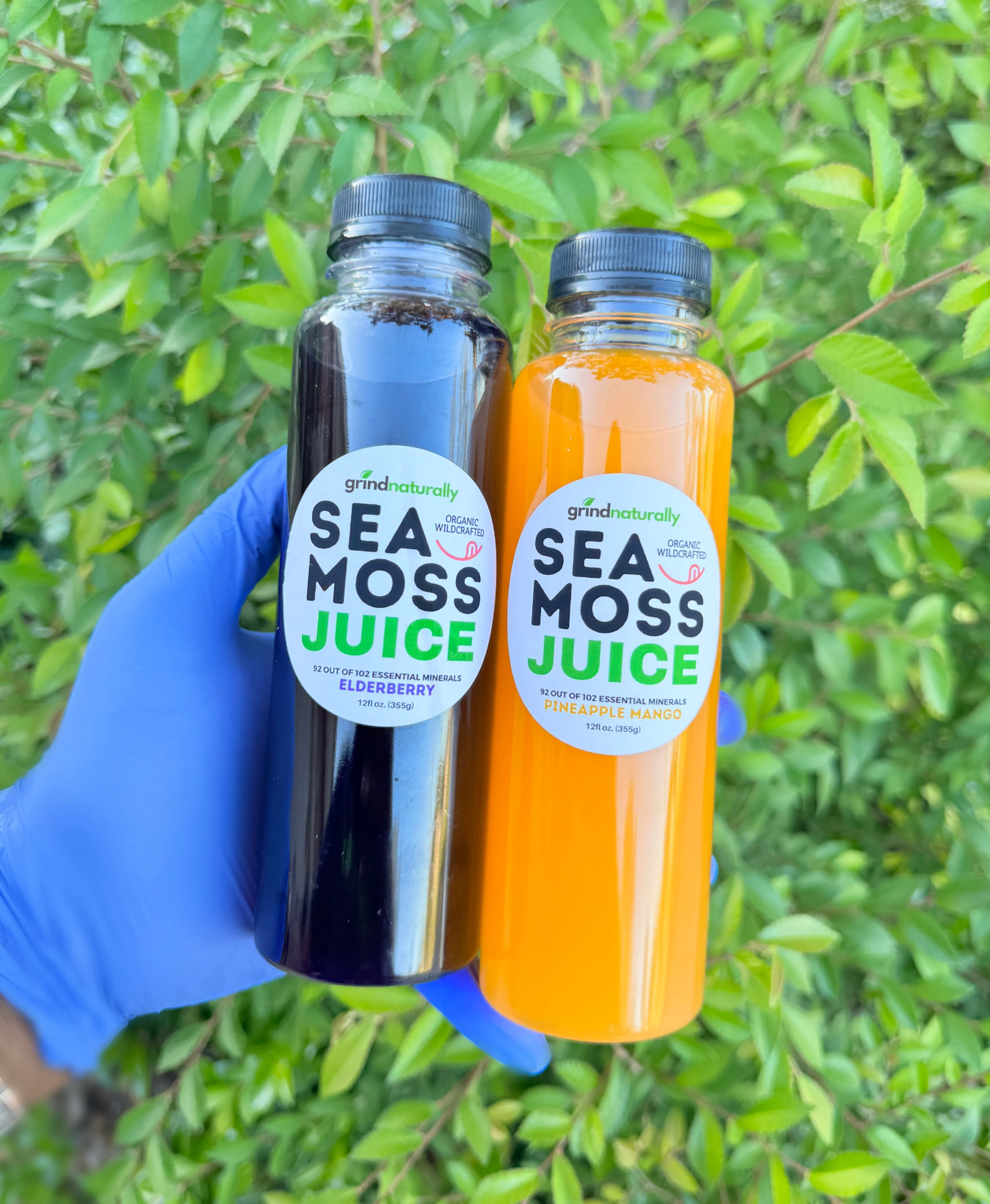 Sea Moss Infused Juice - Organic Antioxidant Wellness Juice With Vital Nutrients