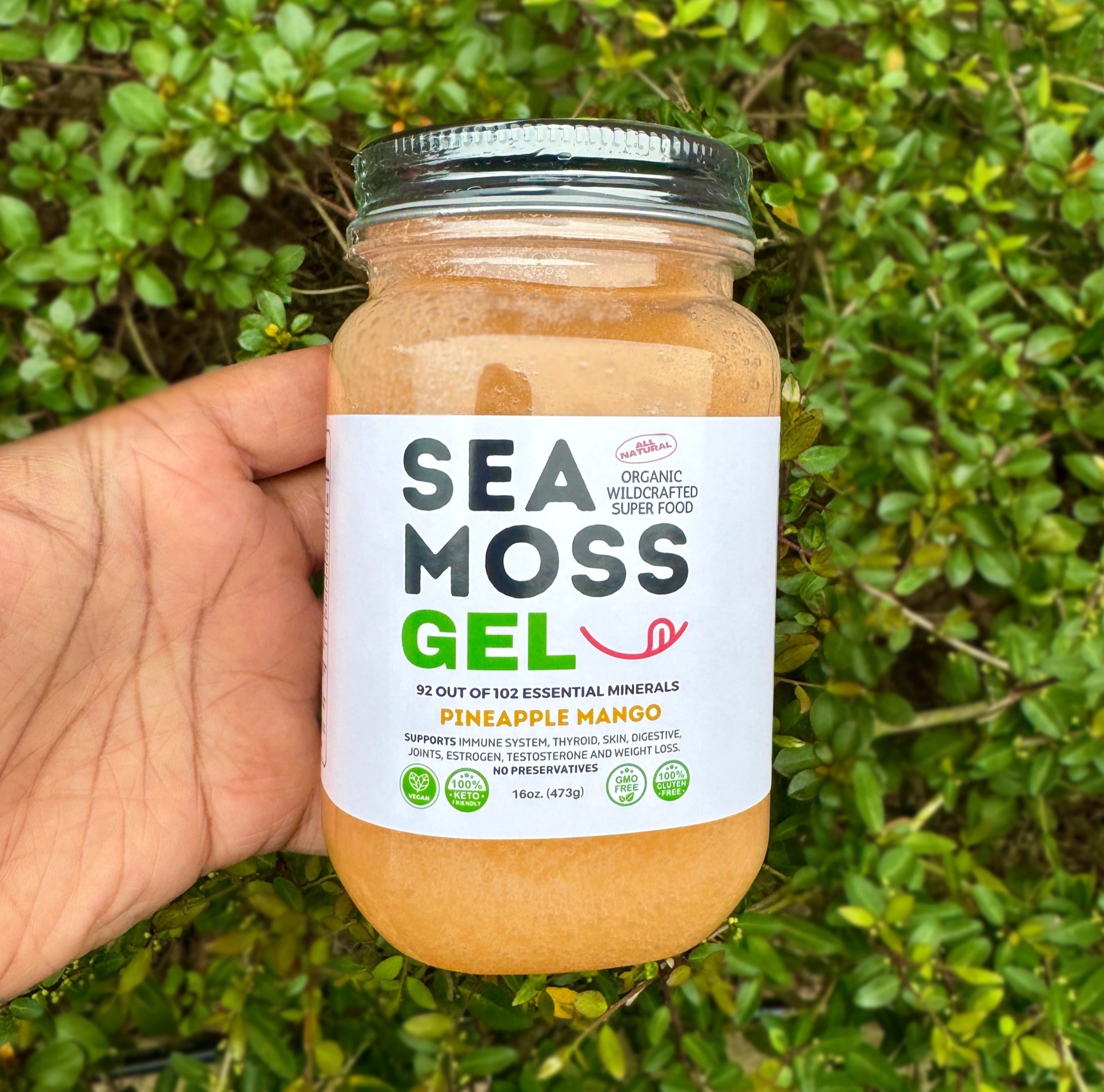 Pineapple Mango Sea Moss Gel - Dr. Sebi Inspired 100% Raw Organic - Wild Harvested Sea Moss